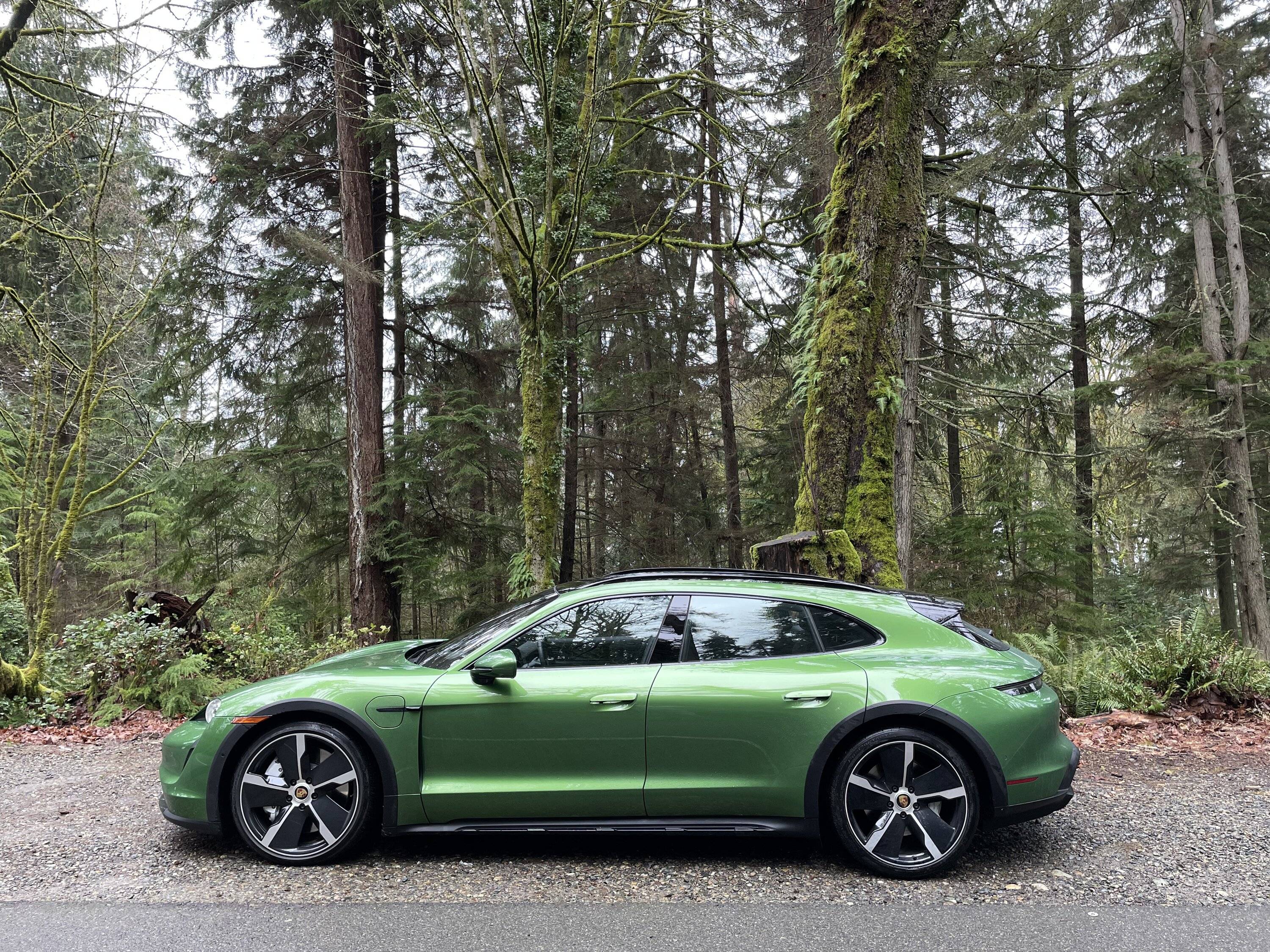 Porsche Taycan Taycan colour -- metallic black or Mamba Green IMG_3762