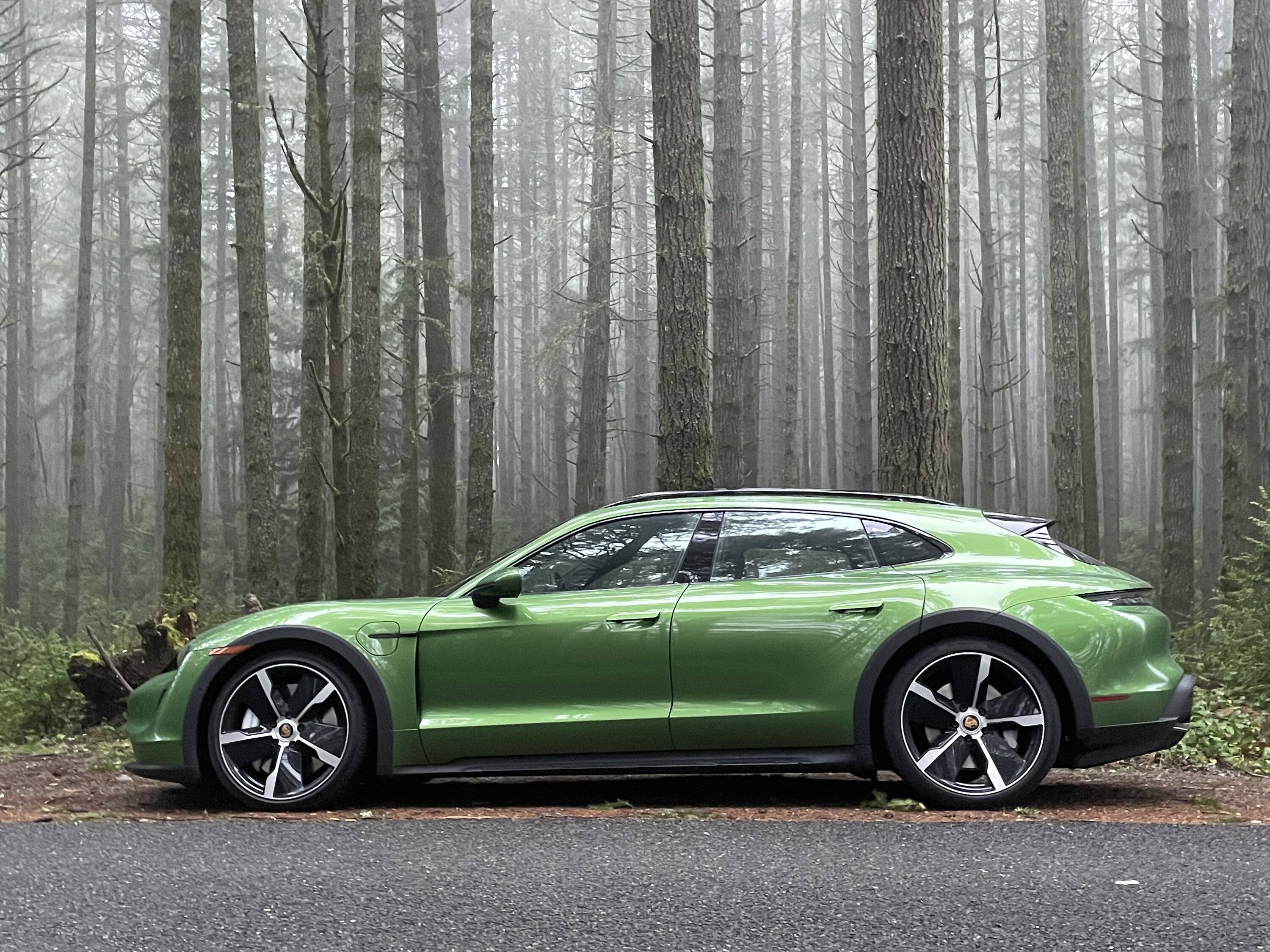 Porsche Taycan Taycan colour -- metallic black or Mamba Green IMG_3723
