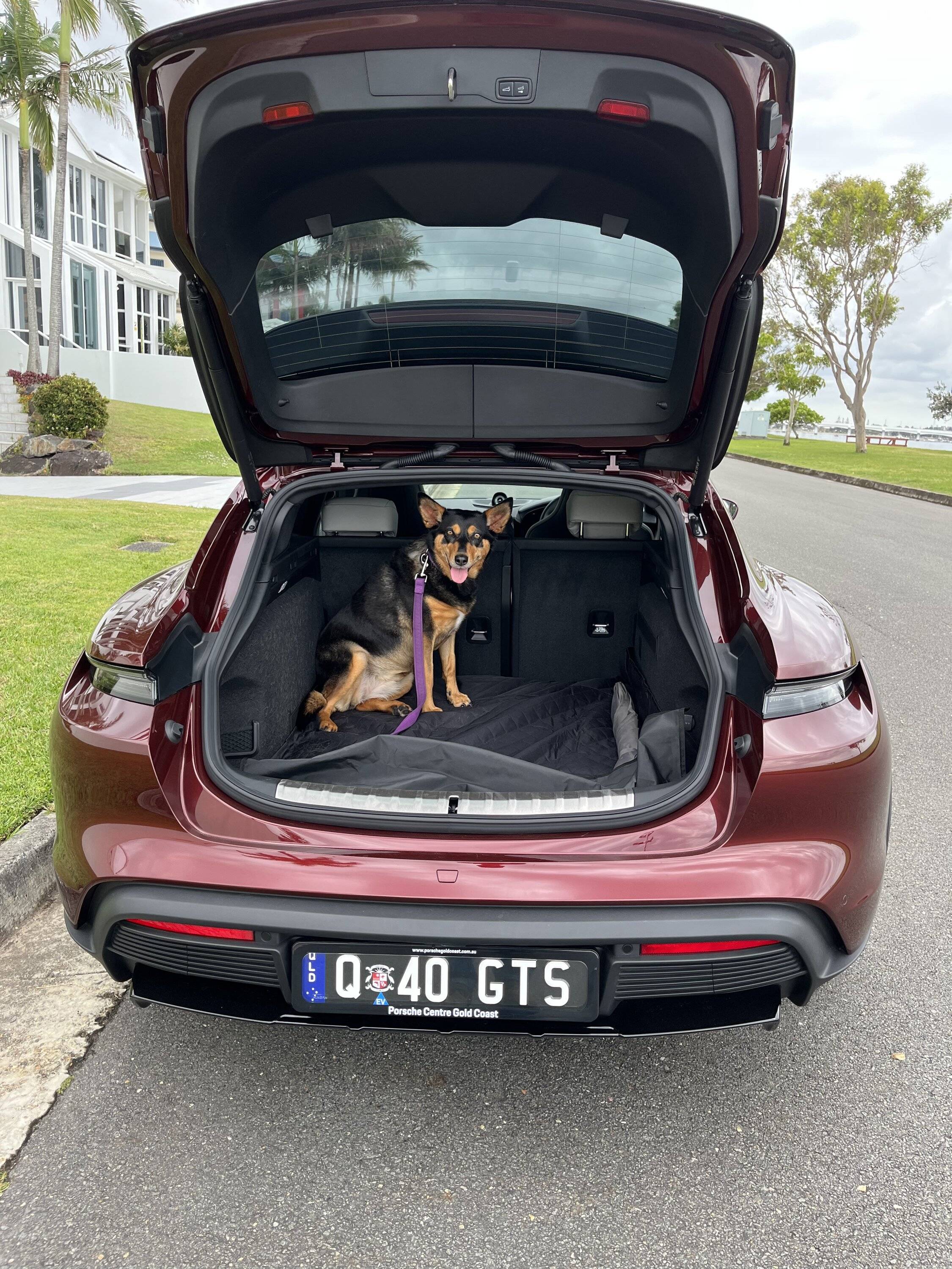 Porsche Taycan uPdate available in Australia? 79BB2502-4B23-420F-95DD-39253F4B7C7C