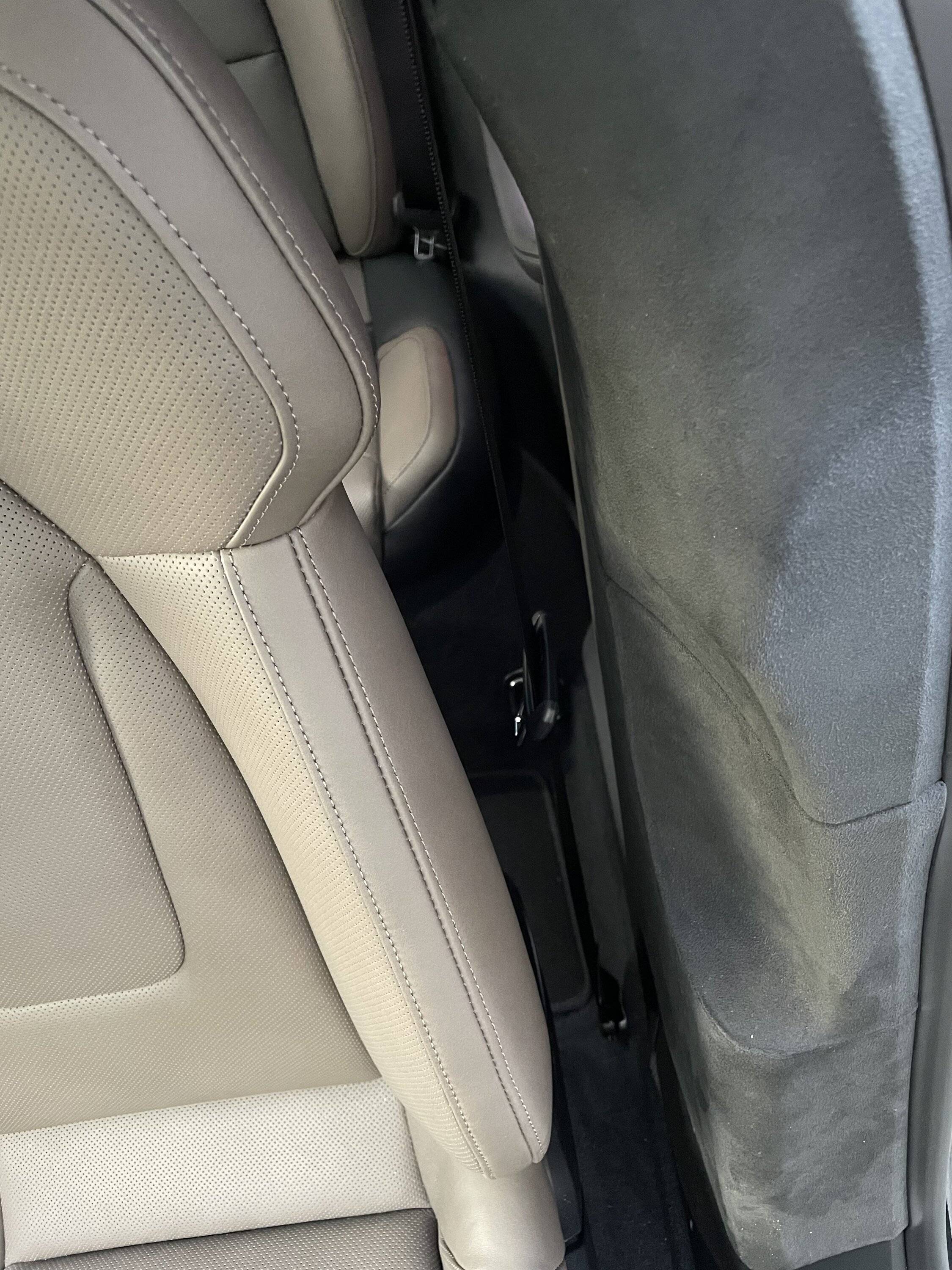 Porsche Taycan B-pillar option recommendations? 5C3DD656-3DC4-4F5C-8392-CC1A6FF65368