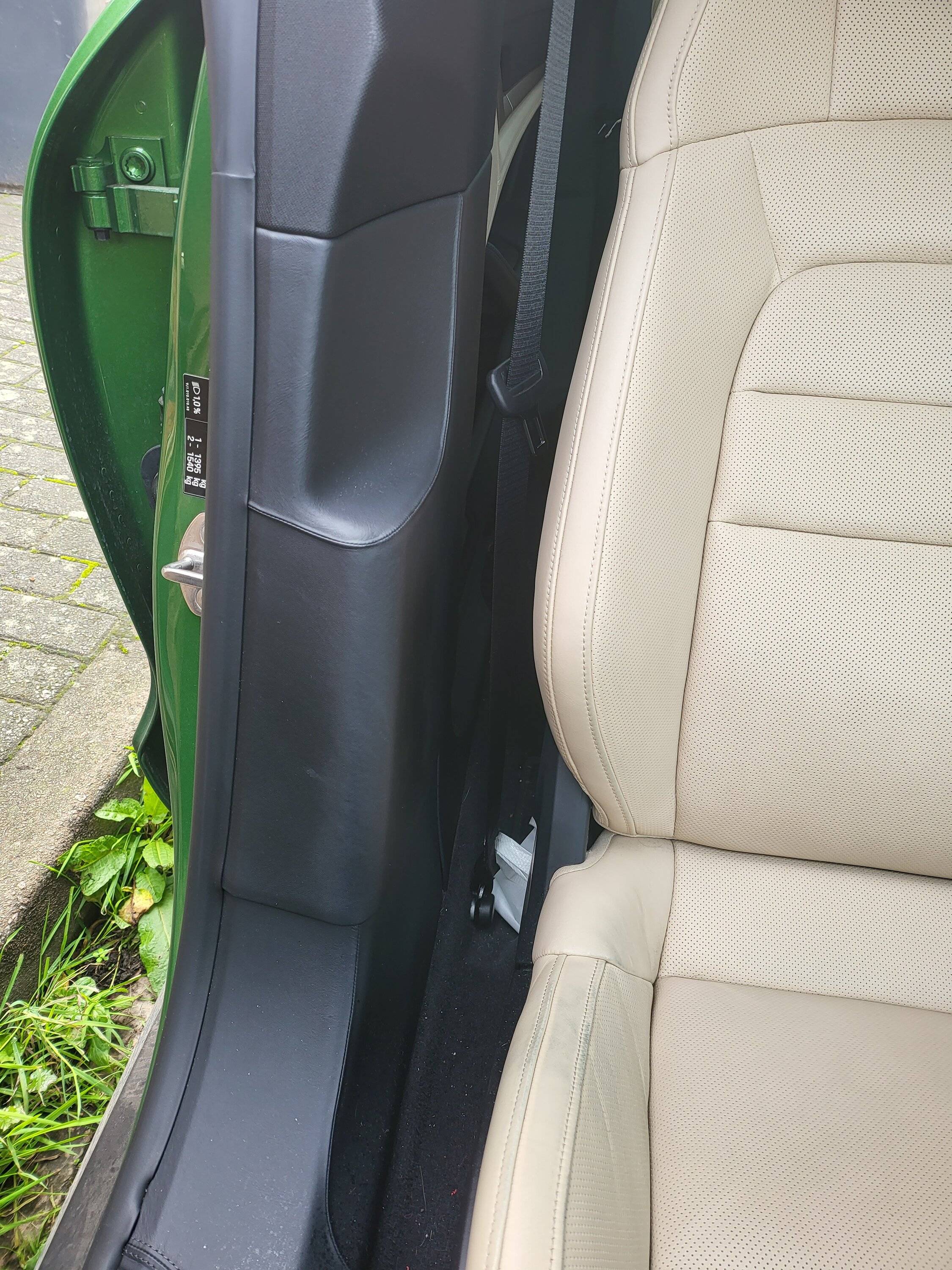 Porsche Taycan B-pillar option recommendations? 20221028_104834