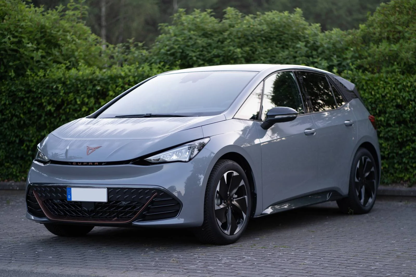 Porsche Taycan Do you have other EV's? 1