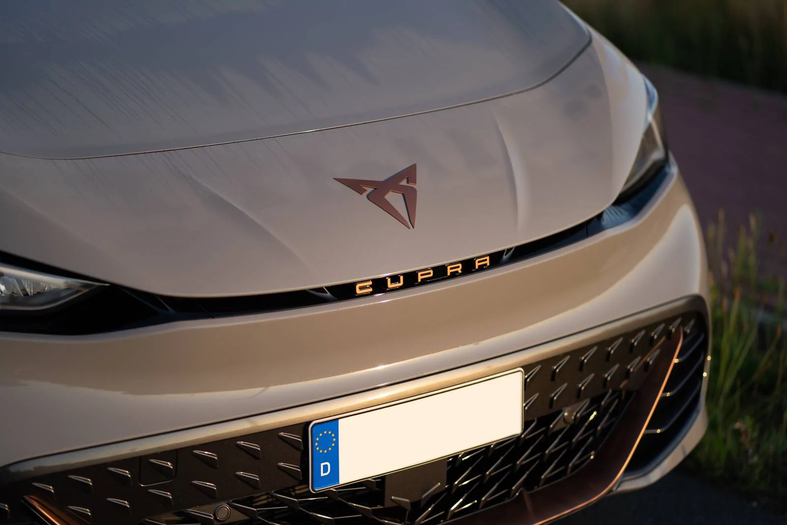 Porsche Taycan Do you have other EV's? 7-1