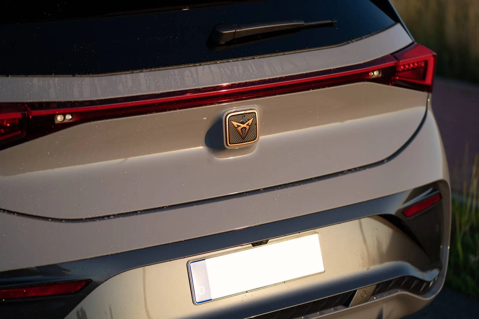Porsche Taycan Do you have other EV's? 8