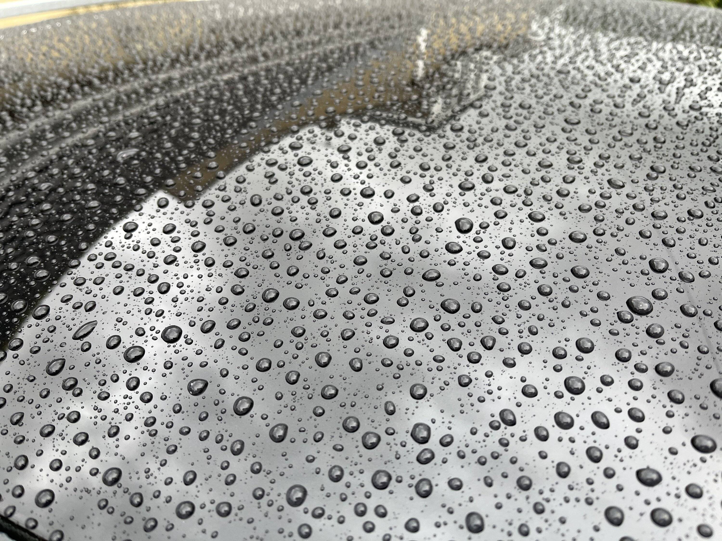 Porsche Taycan Ceramic coatings / sealant, do details guys not like this produce because it takes their every-3-month work away from them? D71F9D7A-497E-4552-AF3F-D0D318FD2BDC