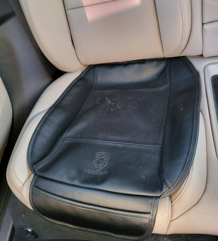 Porsche Taycan Taycan "authorized" subtle little cheap mods rear seat
