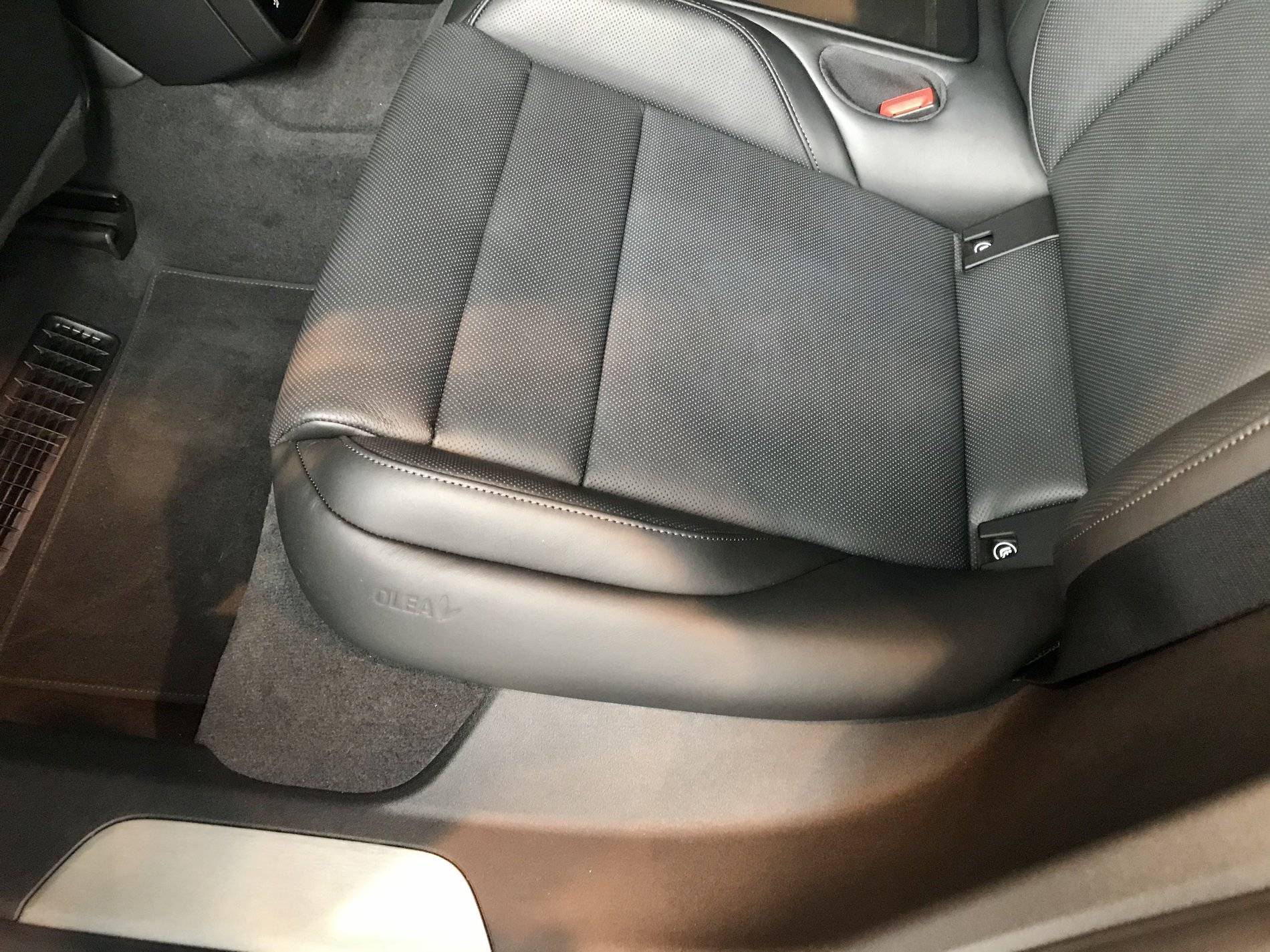 Porsche Taycan 'Standard' leather vs. Olea leather? OleaLeather - VI