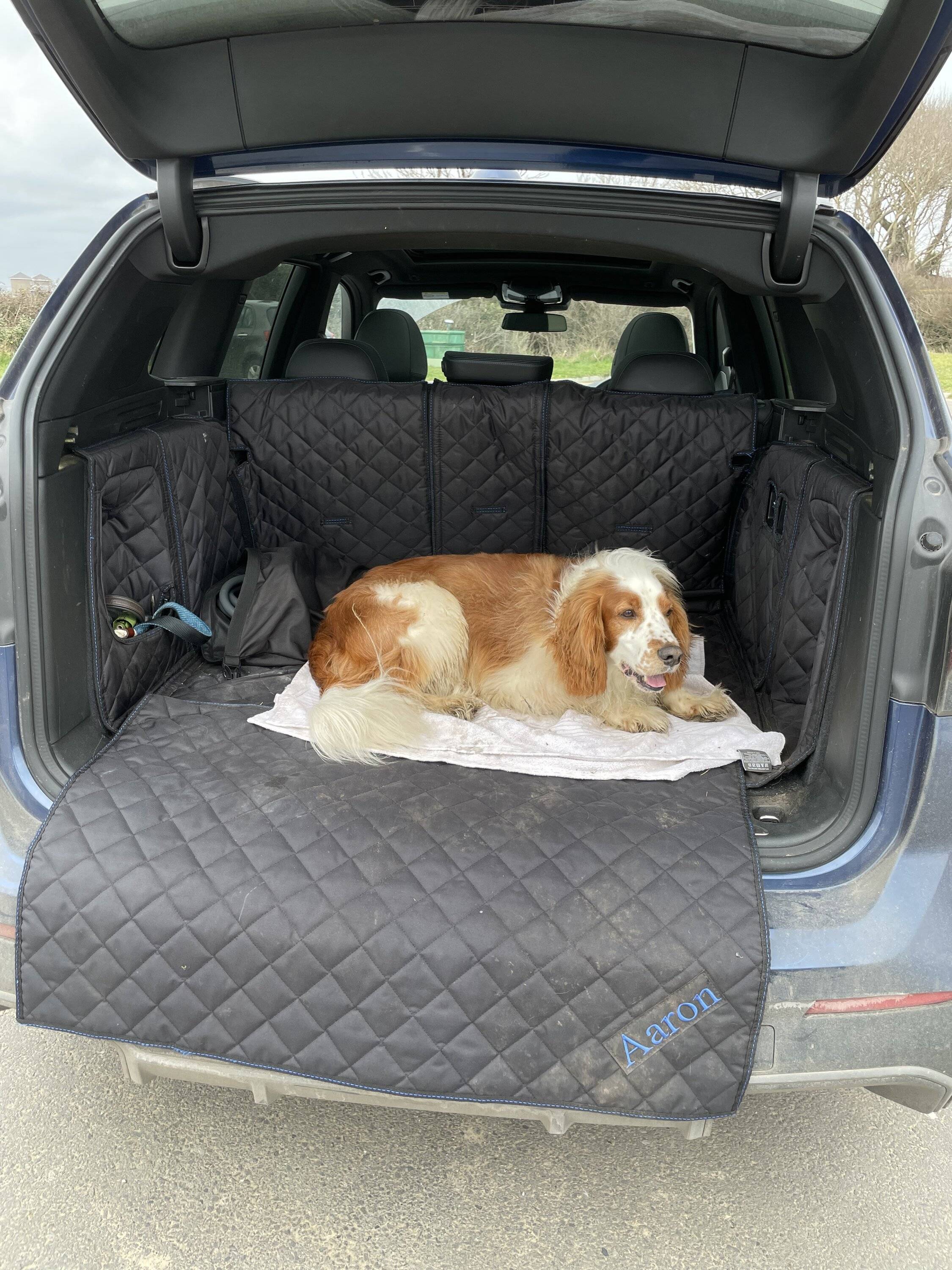 Porsche Taycan Hi!! charging cards and Taycan dog -proofing! :) FBAA3E7C-170A-4DD7-BB5B-1C0046468D15