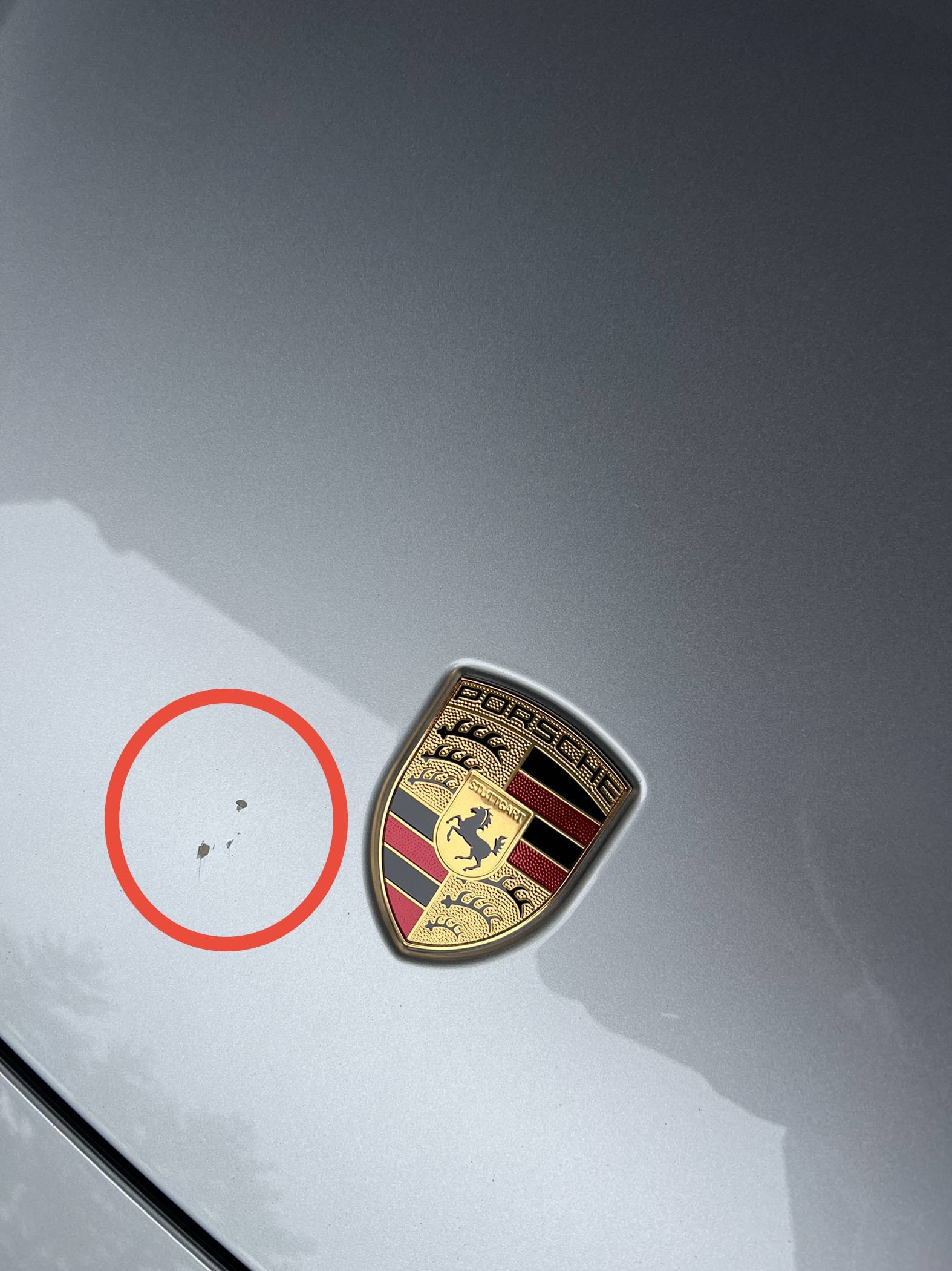 Porsche Taycan Rock Chips IMG_8476