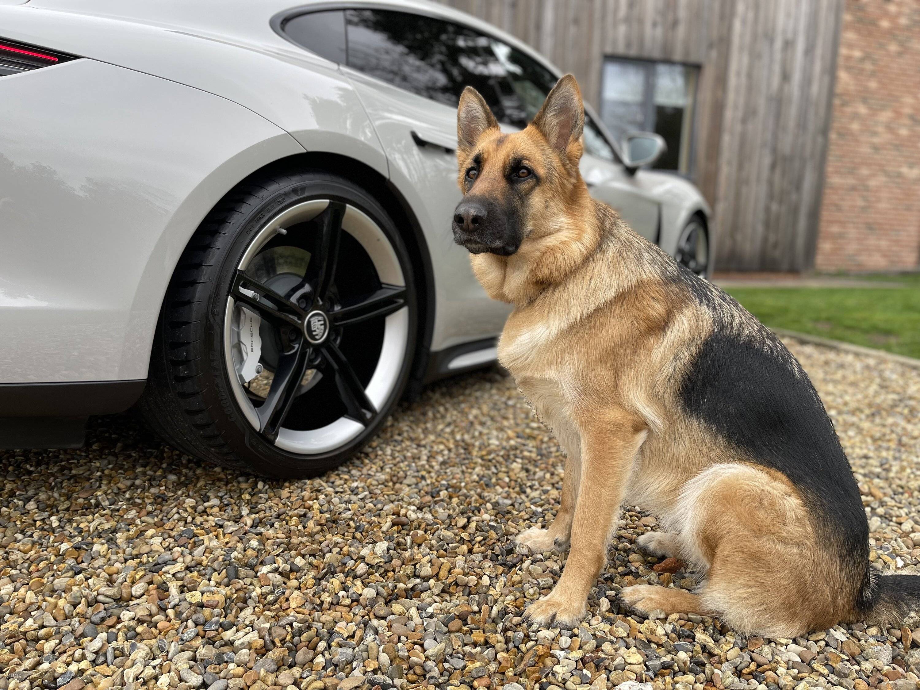 Porsche Taycan Hi!! charging cards and Taycan dog -proofing! :) AD4E0C1B-FDB9-4D11-8FD5-DCCAE34EE7C5