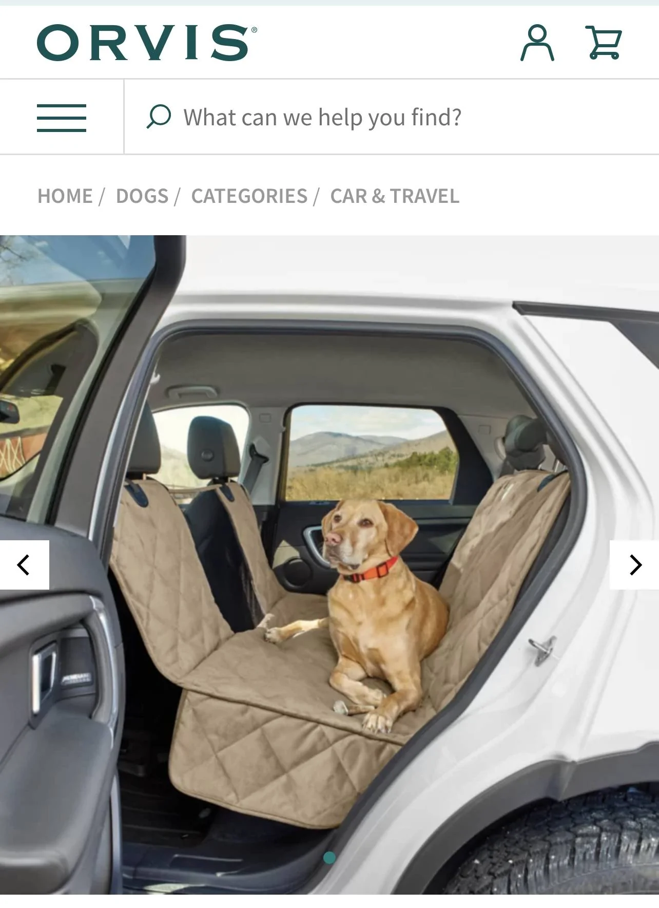 Porsche Taycan How do you prevent scratches from your dog on the leather seat? IMG_8311