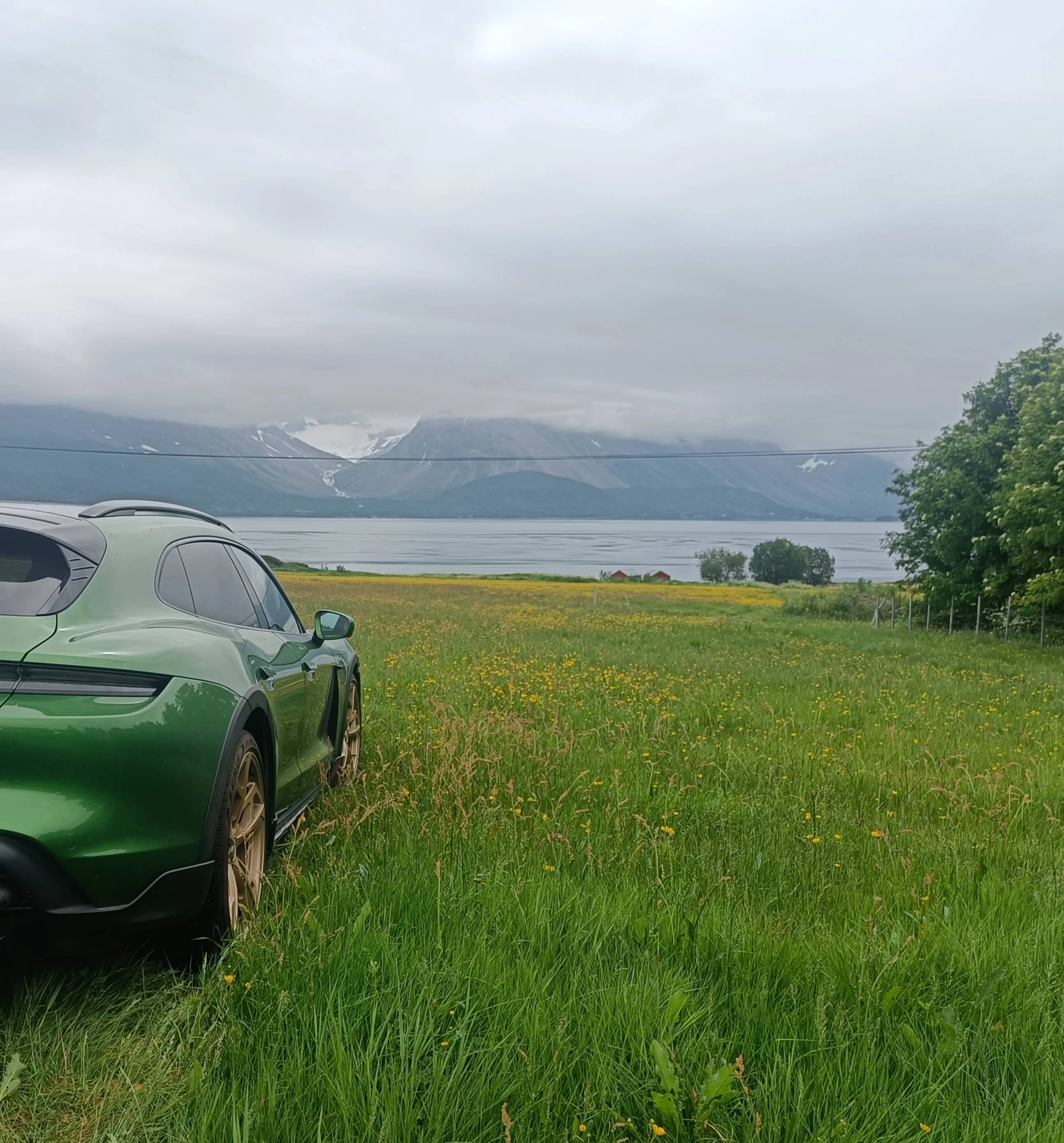 Porsche Taycan MAMBA GREEN Taycan Club IMG_20230624_143838