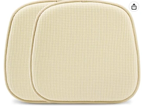Porsche Taycan Dog seat covers? 1689615131809