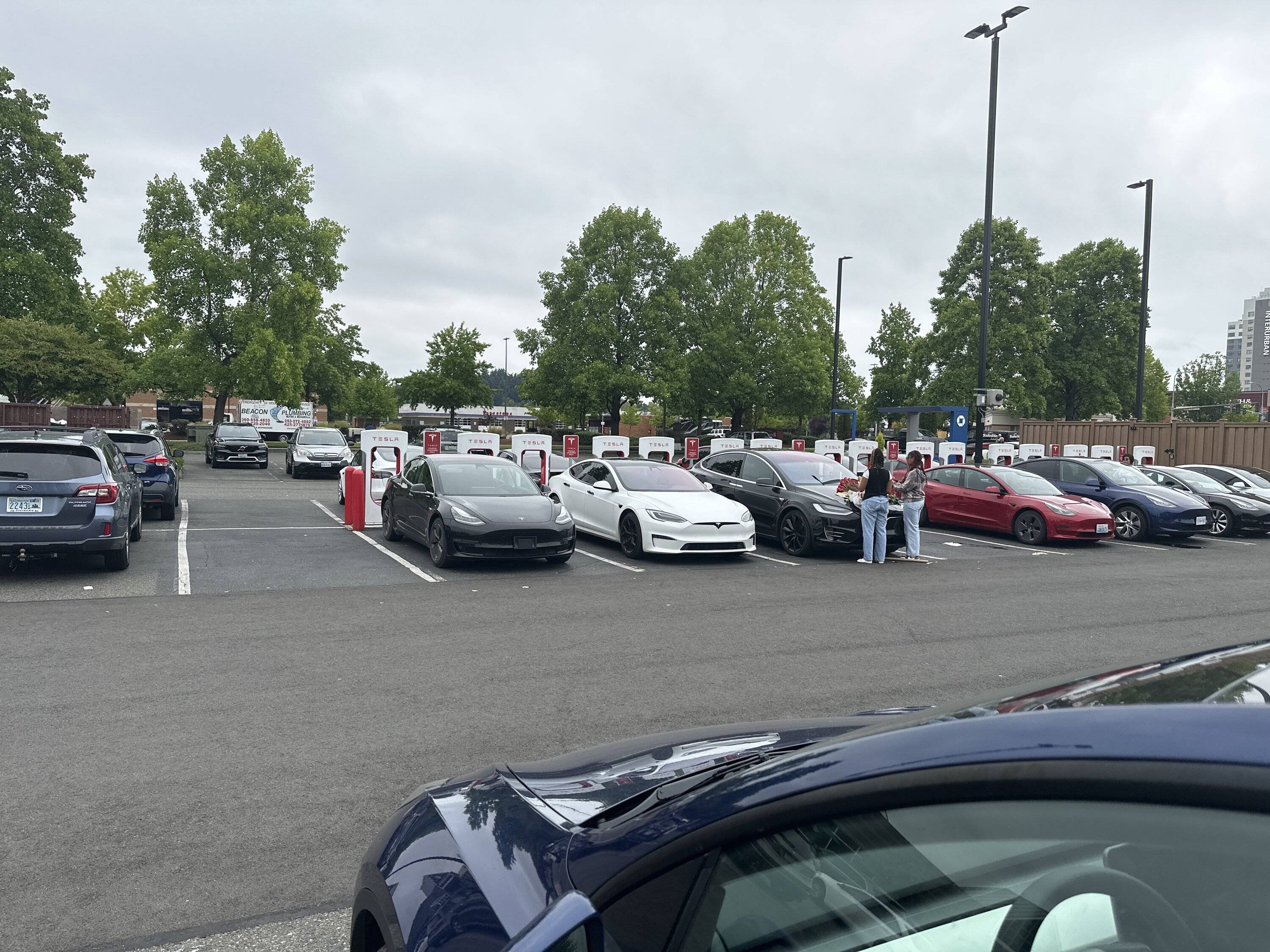 Porsche Taycan short notice meet & greet? Seattle area? image