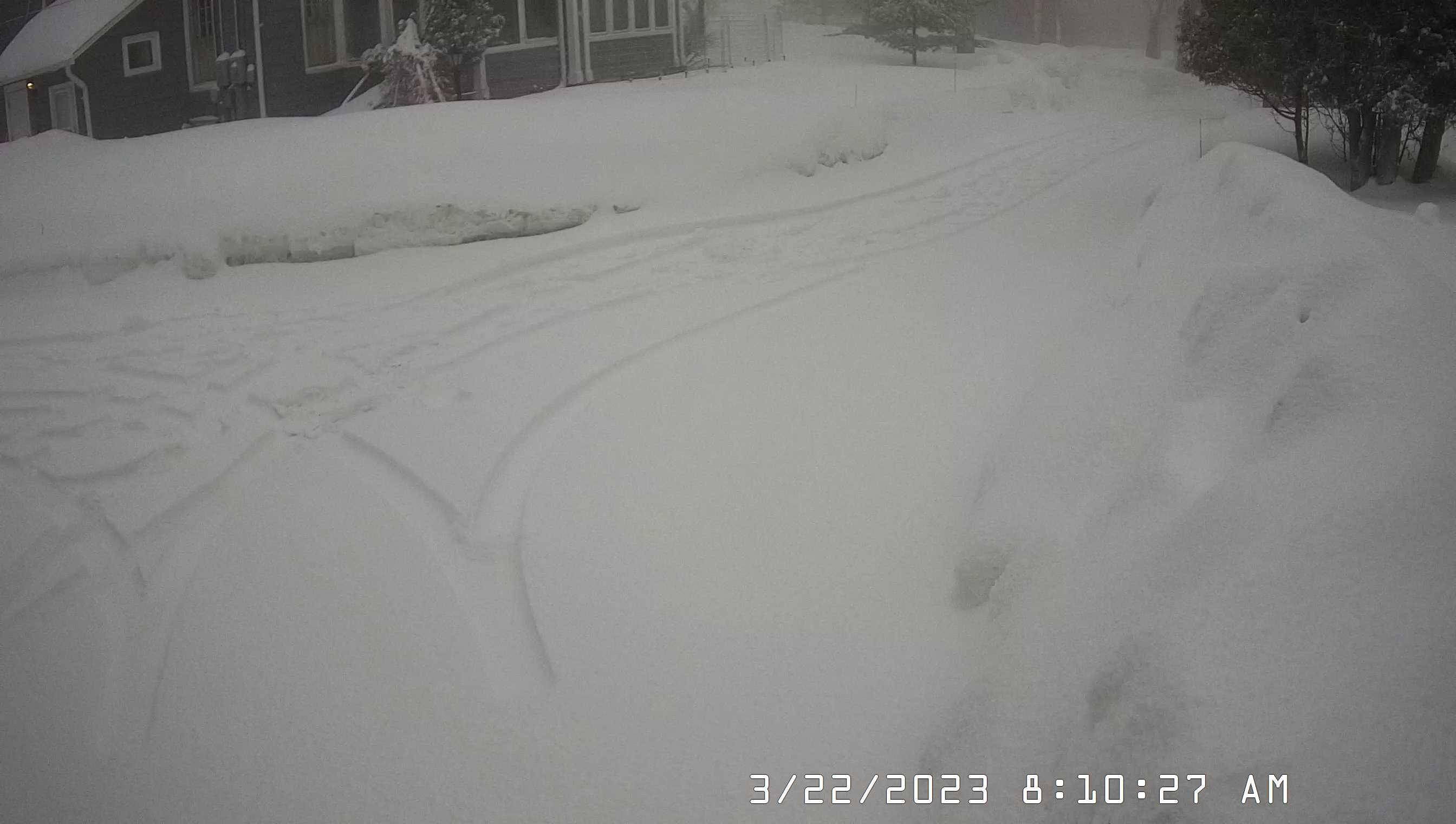Porsche Taycan All Season Tyres. Help please. 1694660671683