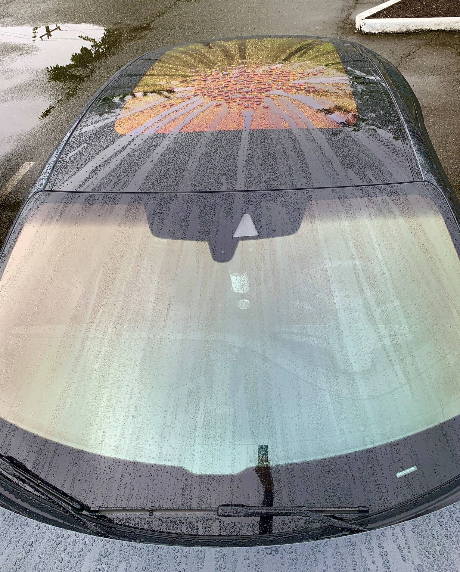 Porsche Taycan Concerns about panoramic roof and sun BA3272E6-EB41-4774-80C0-02C560CE2210