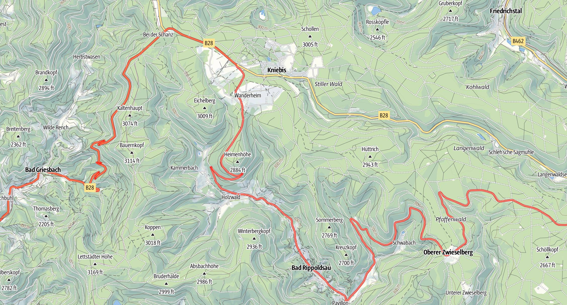 Porsche Taycan Twisty Black Forest roads IMG_1306