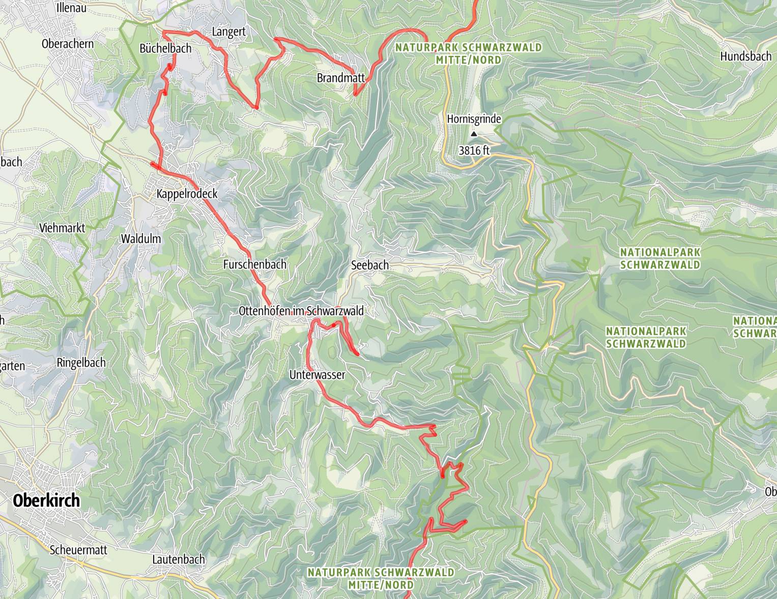 Porsche Taycan Twisty Black Forest roads IMG_1309