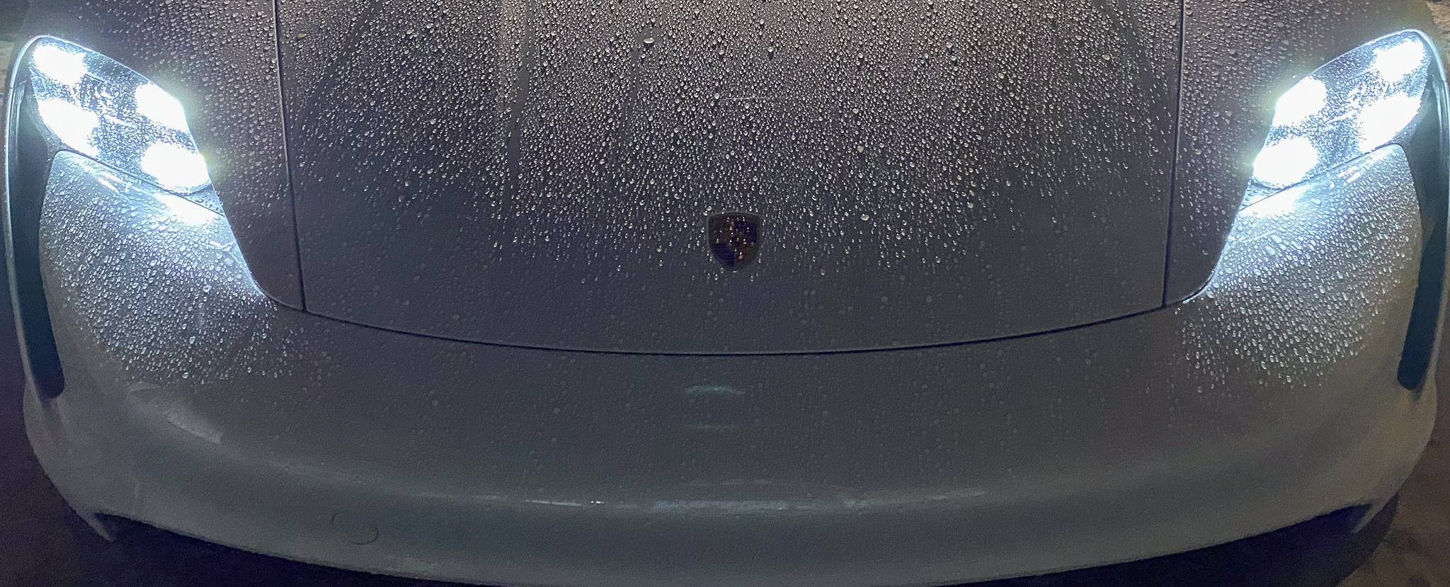 Porsche Taycan Love this car doggy-13