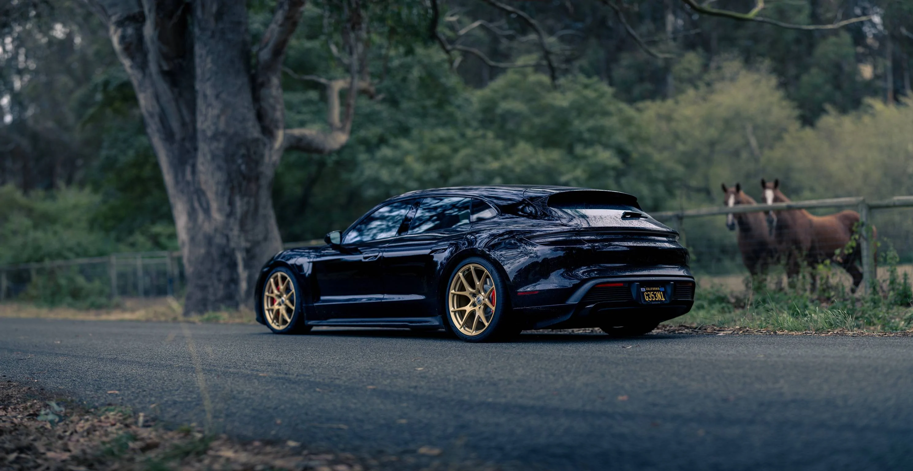 Porsche Taycan [SOLD] FS: 21” RS Spyder Wheelset F30A8665-Pano