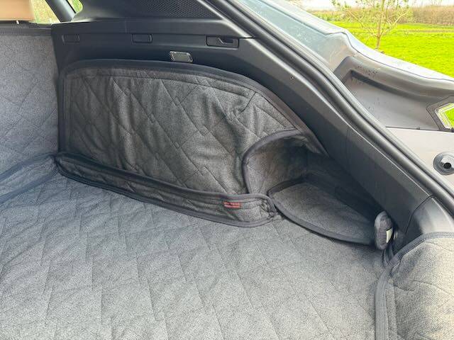 Porsche Taycan Dog transport setup IMG_1152
