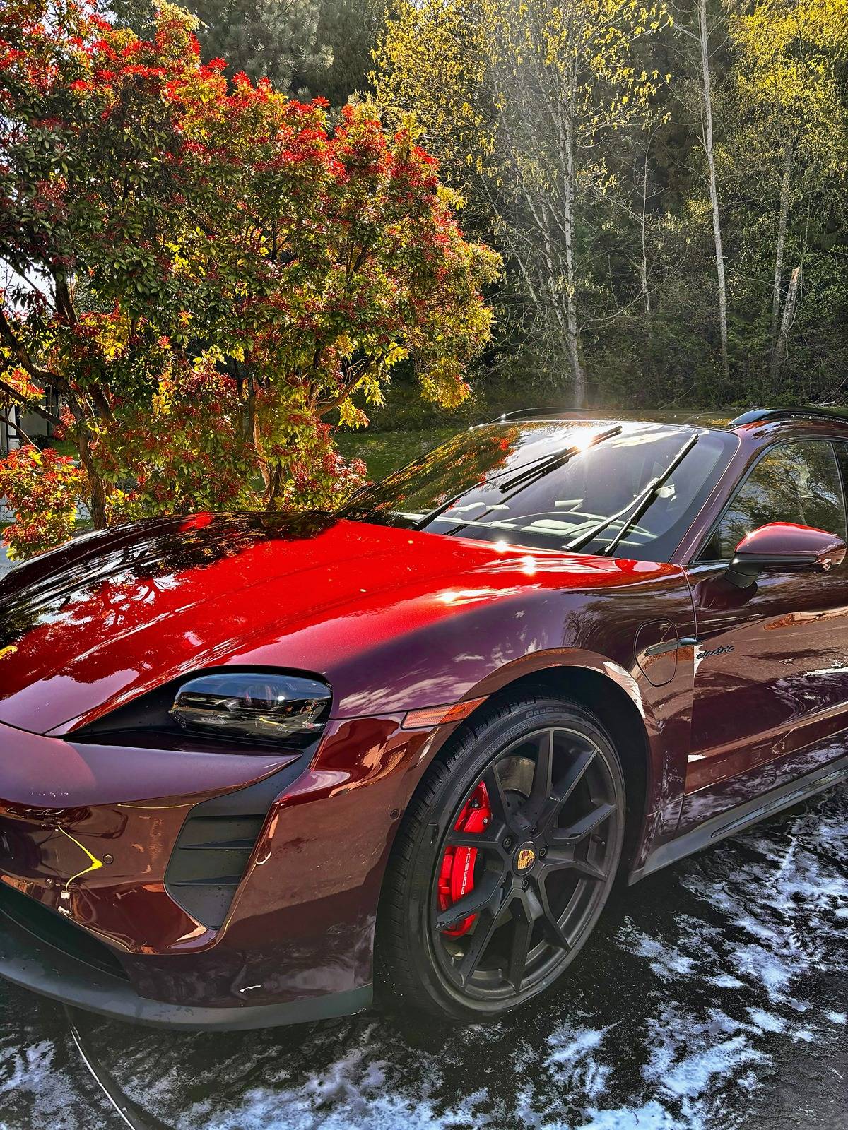 Porsche Taycan CHERRY METALLIC Taycan Club IMG_0375 Copy