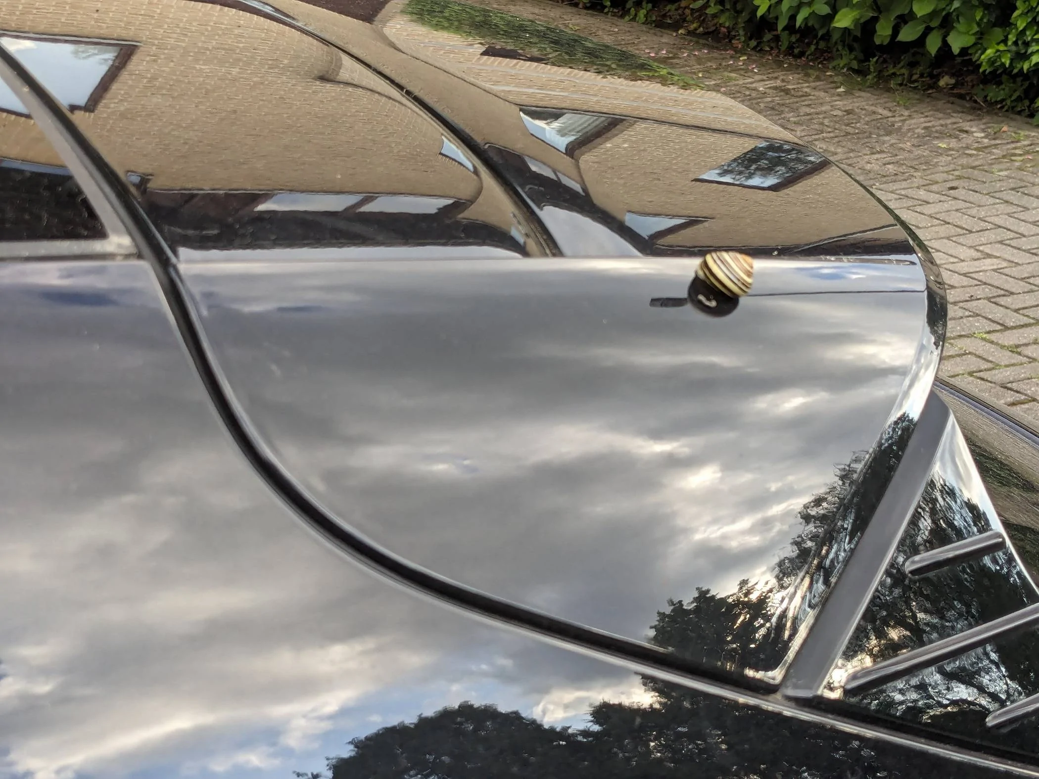 Porsche Taycan Location! Location! Location!  Post Artistic Photos of Your Taycan with Scenery 1000087838