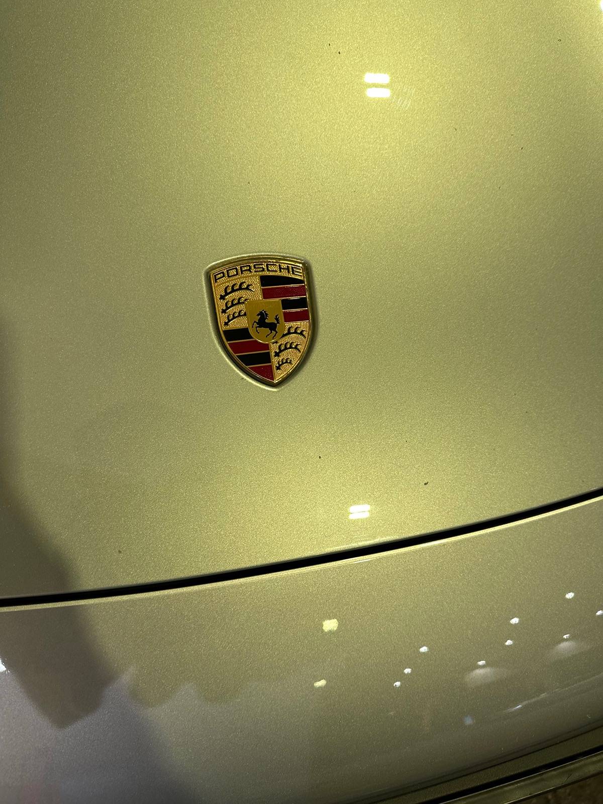 Porsche Taycan Would you be bothered of these stole chips damaged on the car? IMG_2620