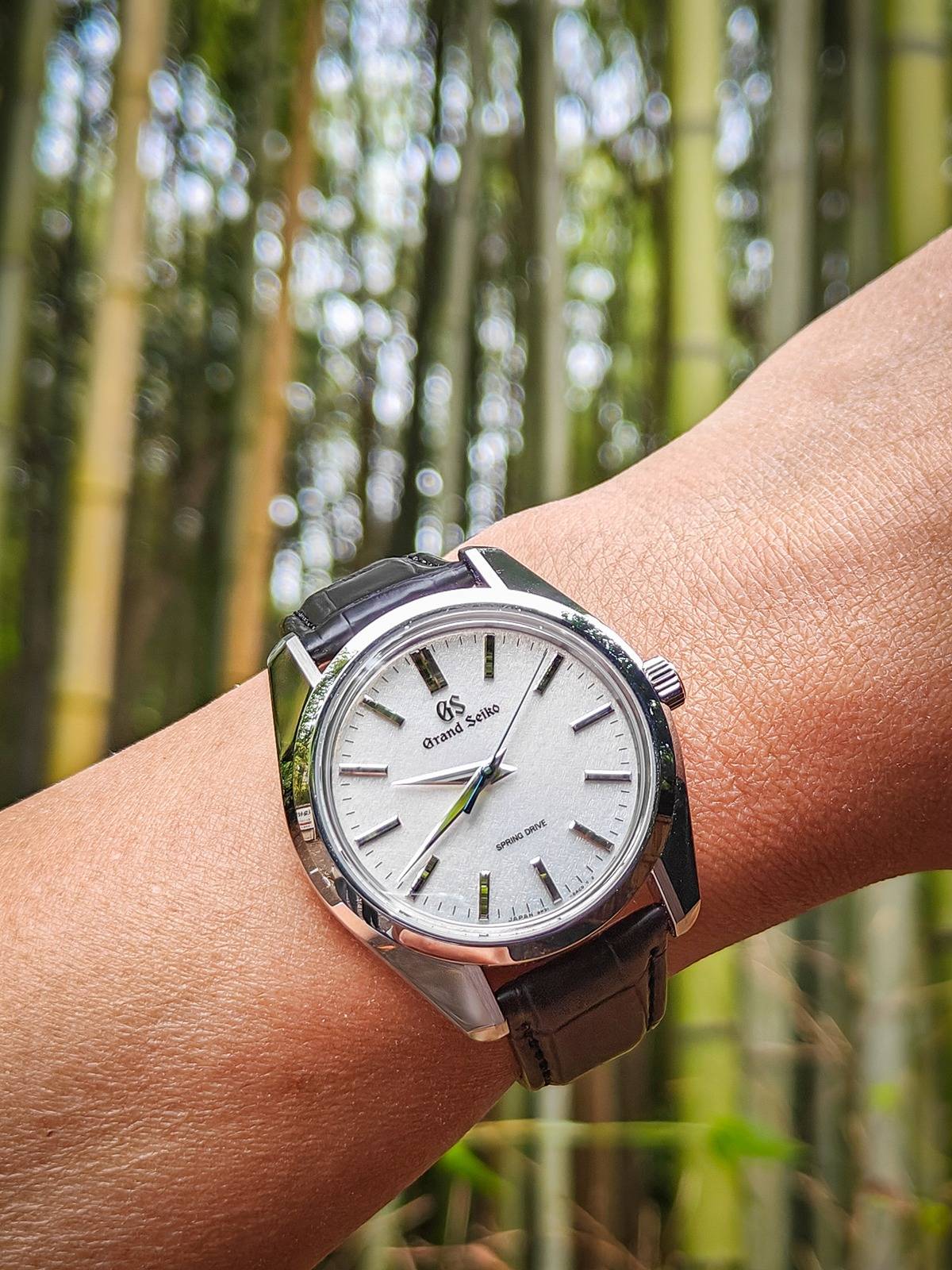Porsche Taycan Watch collectors - let's talk watches here! PSX_20240609_101447