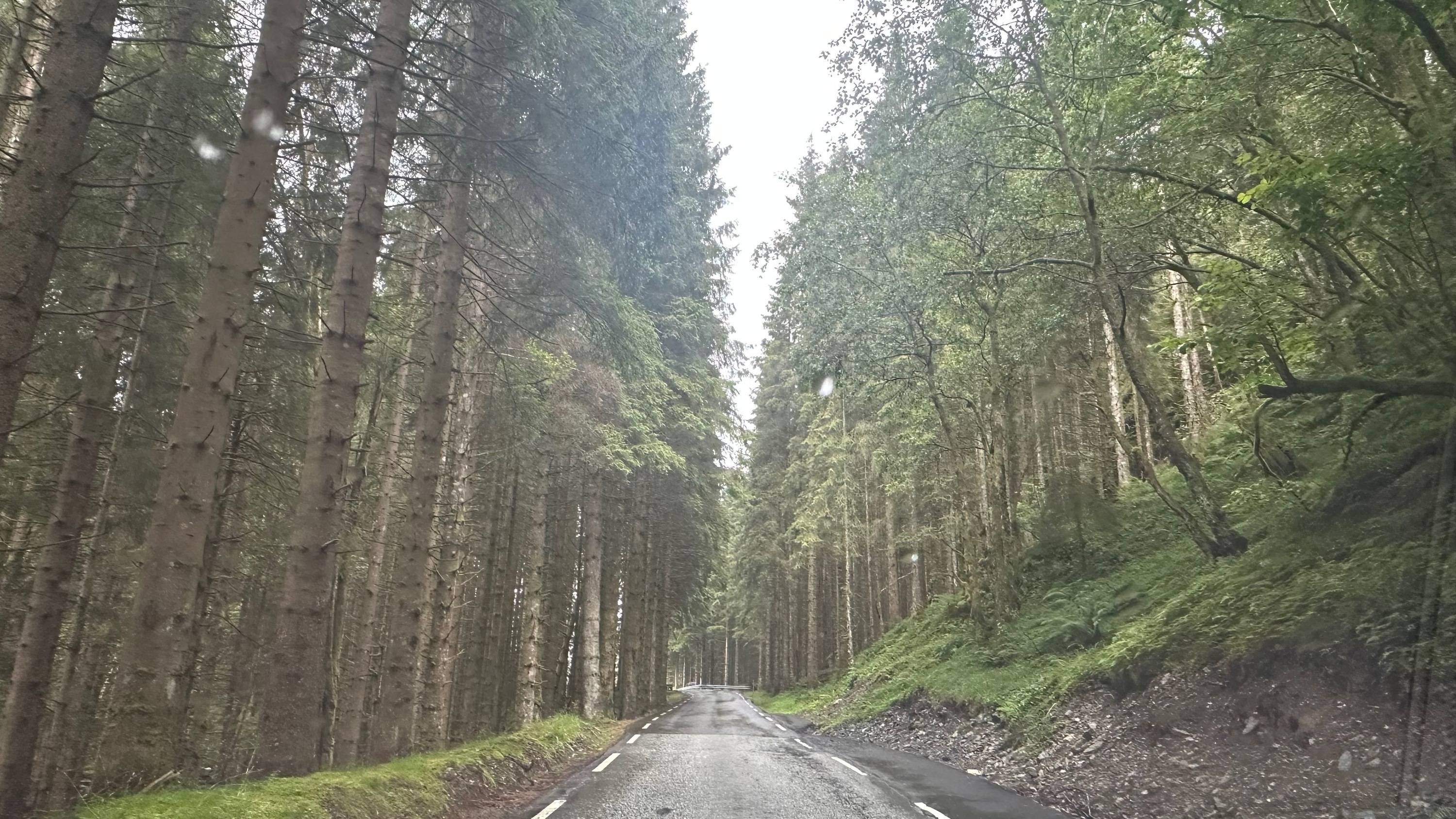 Porsche Taycan Taycan to the Norwegian Fjords (Summer 2024 Trip Journal) 53925301161_f3398845ba_o