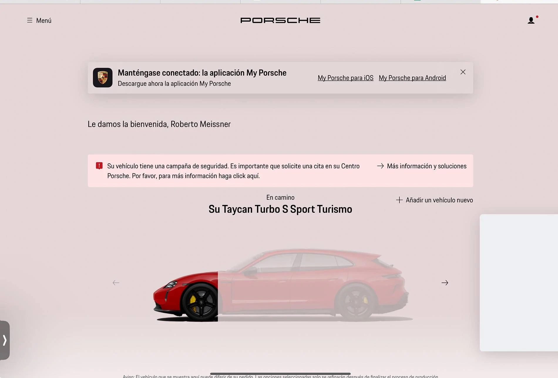 Porsche Taycan Porsche removes recall information for USA IMG_2770
