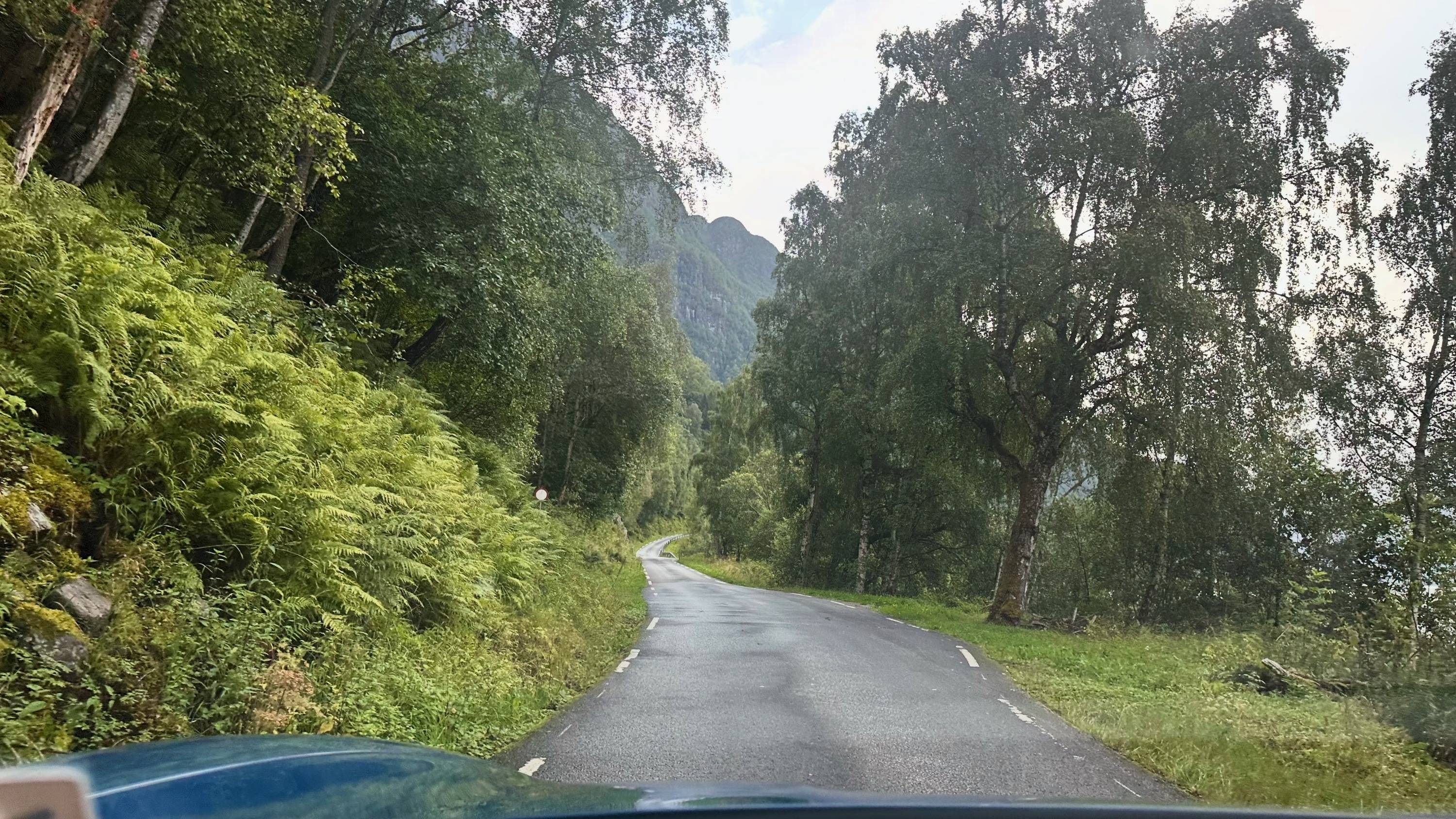 Porsche Taycan Taycan to the Norwegian Fjords (Summer 2024 Trip Journal) 53930414598_99d571c955_o