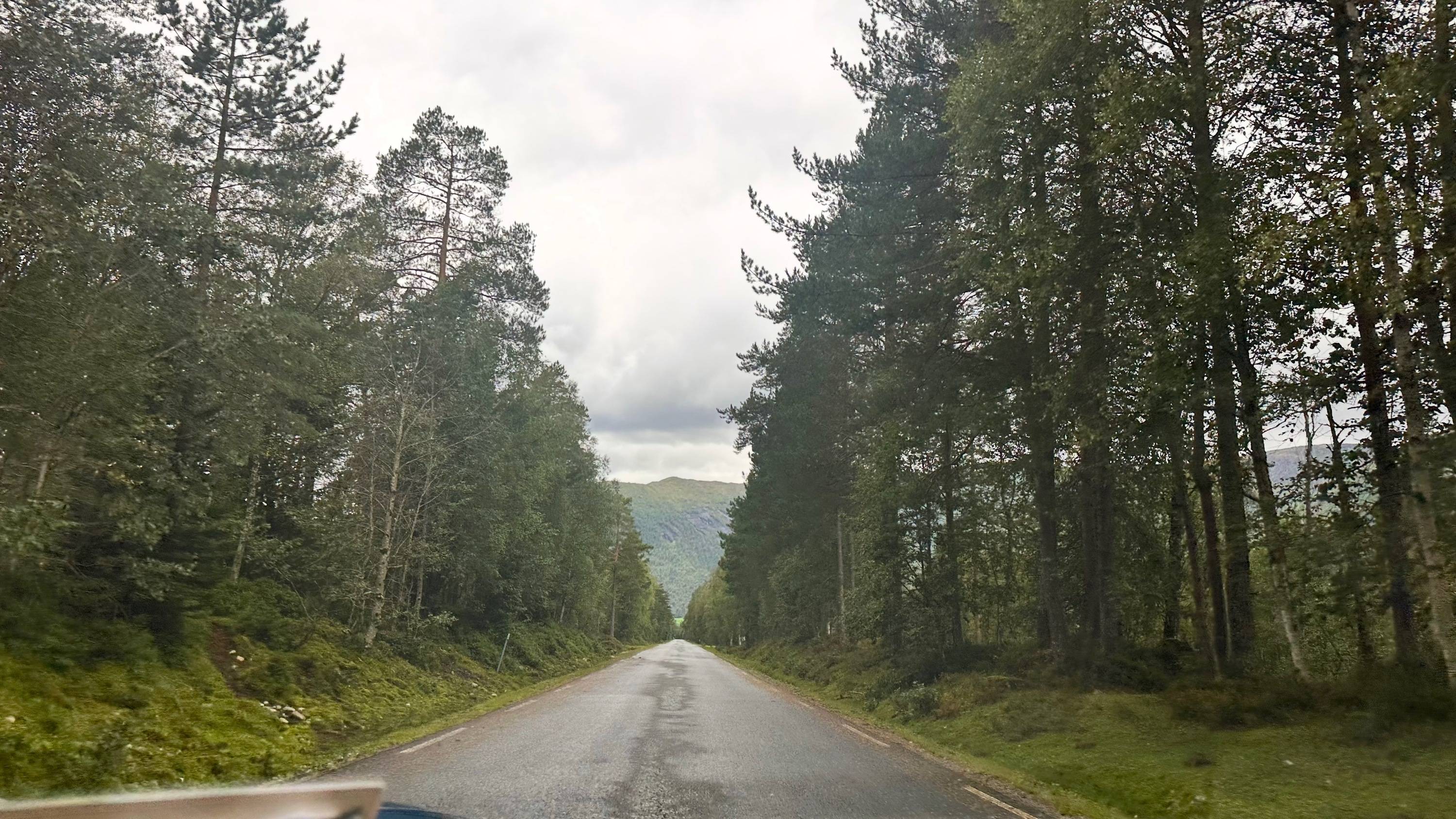 Porsche Taycan Taycan to the Norwegian Fjords (Summer 2024 Trip Journal) 53935031351_5d0f343b53_o