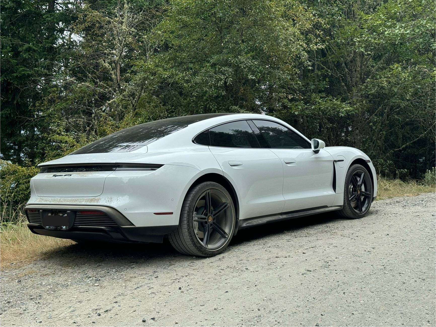 Porsche Taycan Roast My Car (w/ ChatGPT) IMG_14942