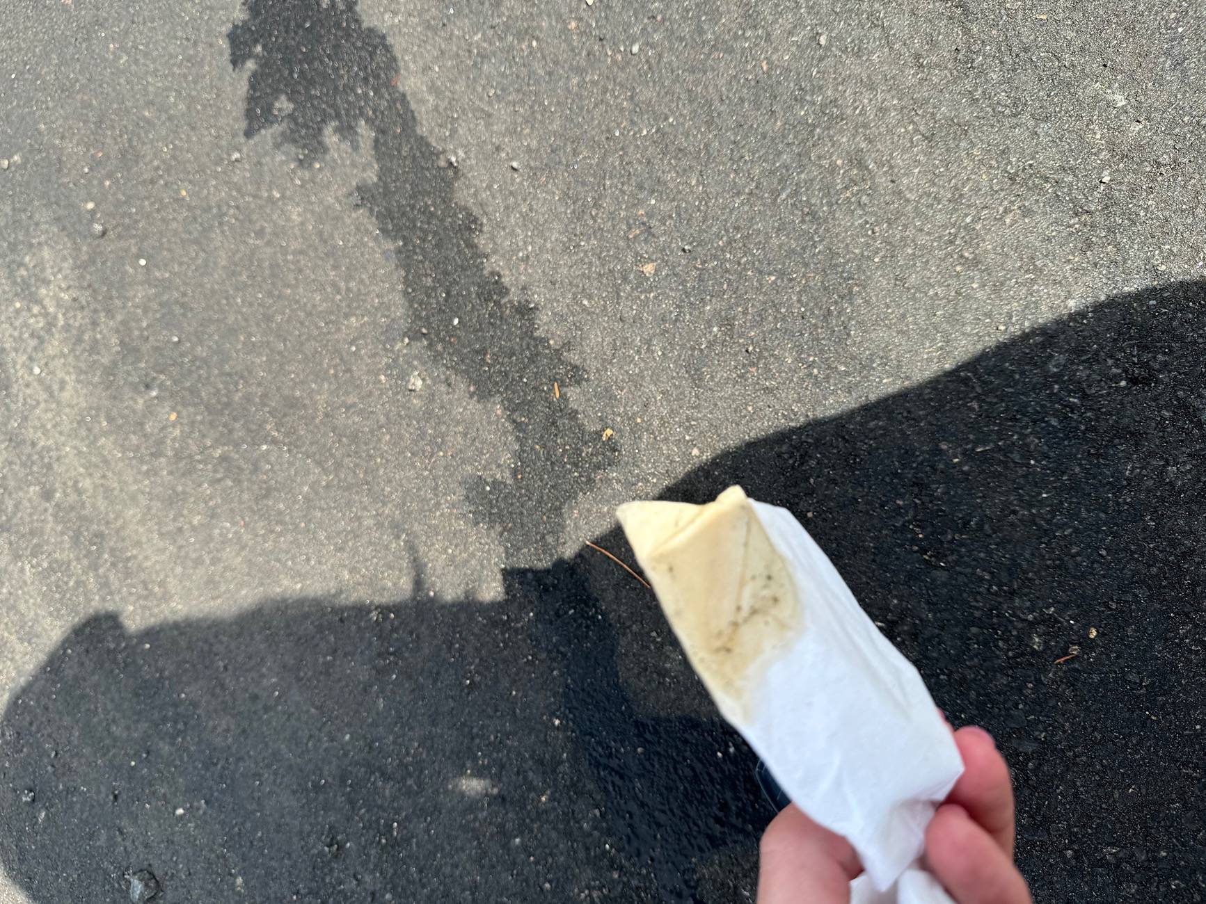 Porsche Taycan Fluid leaking during charging IMG_2371