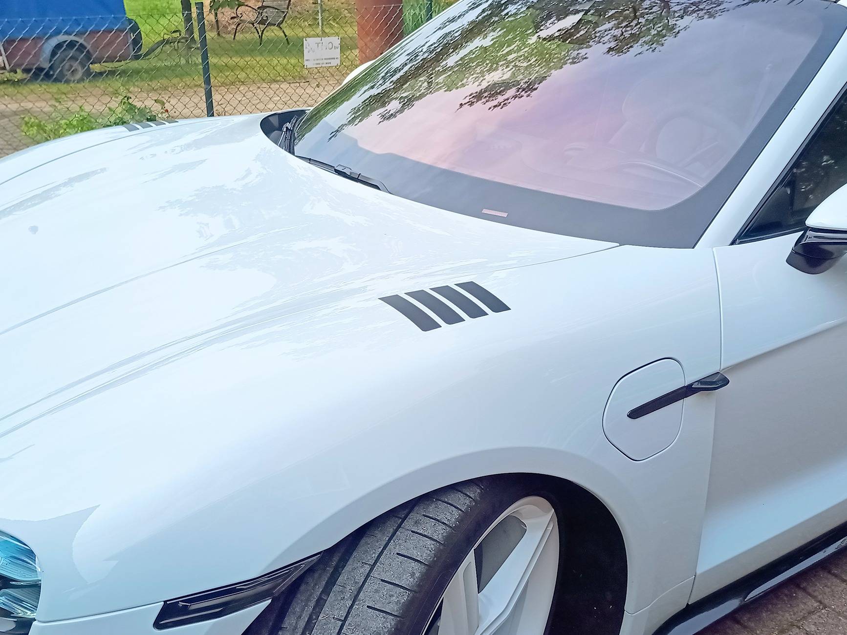 Porsche Taycan I painted my Mission E wheels white. IMG_20240903_125341441