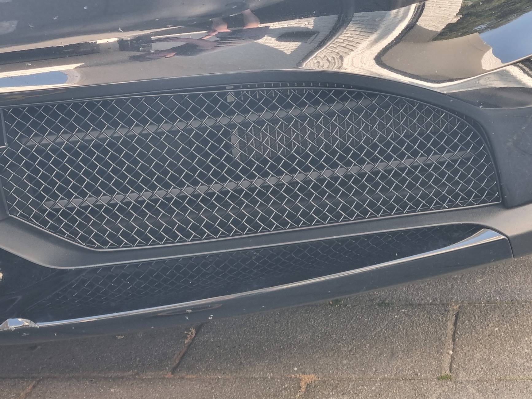 Porsche Taycan I tried the Zunsport grills and I like them 20240922_135225