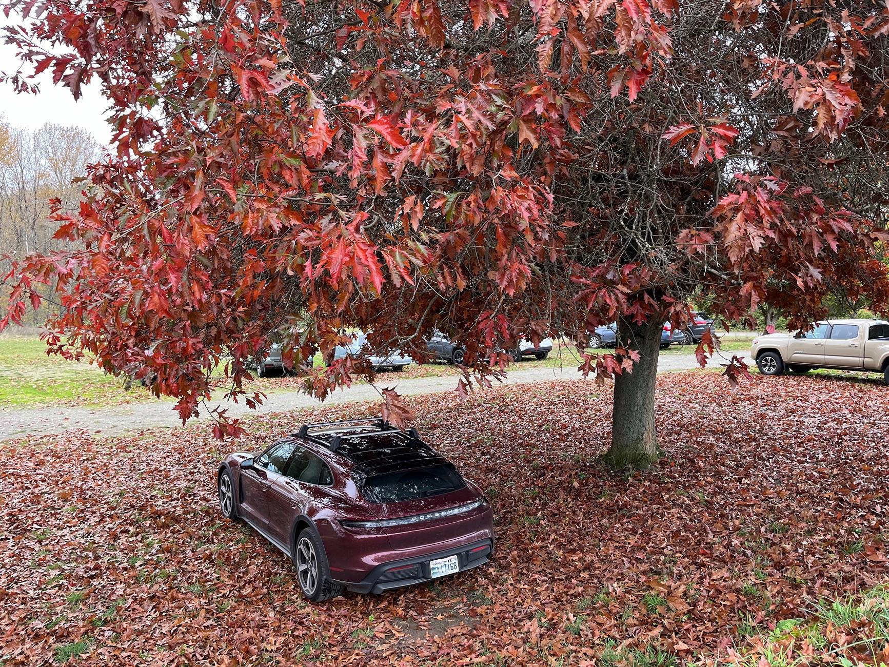 Porsche Taycan CHERRY METALLIC Taycan Club IMG_3620