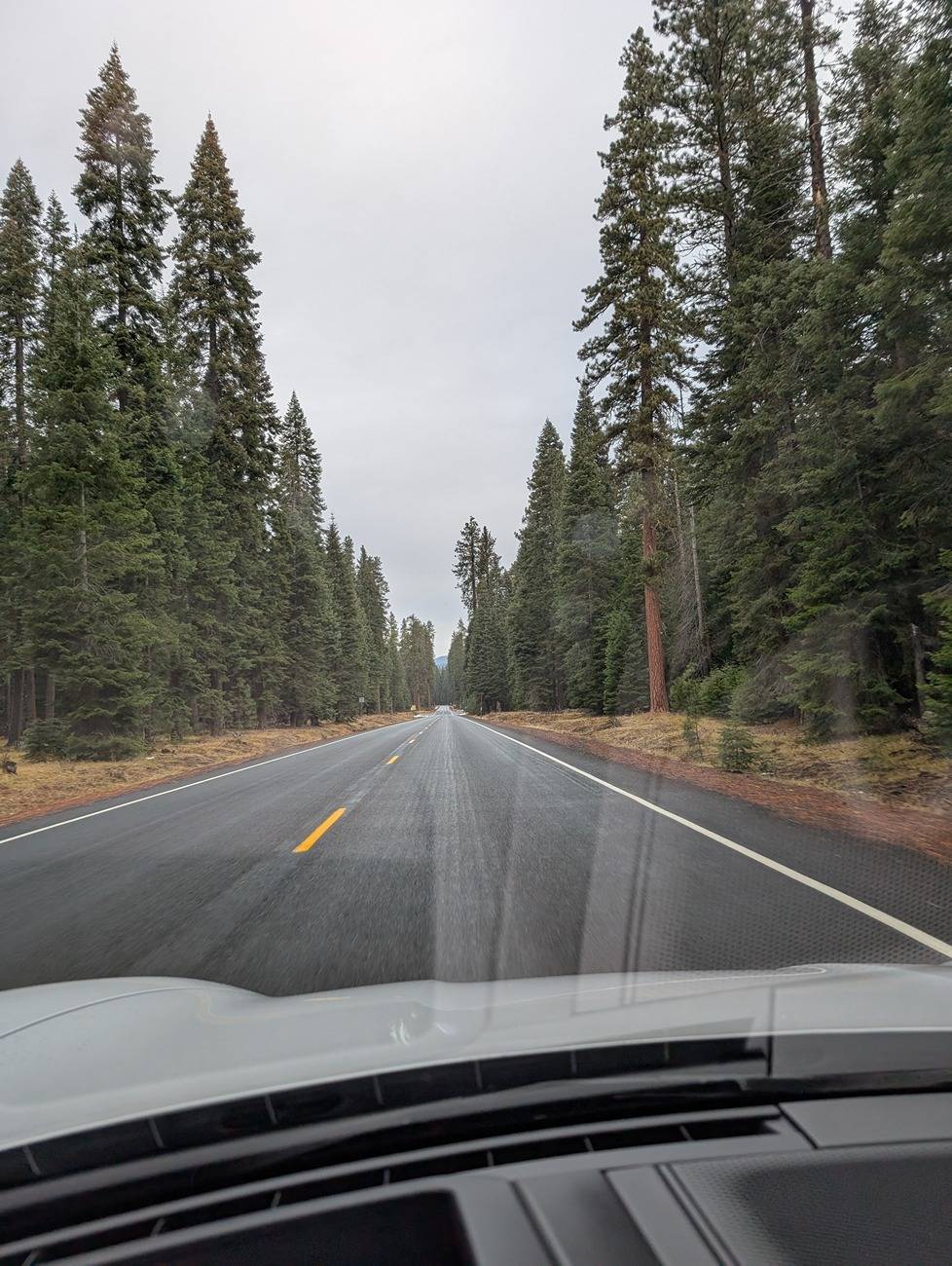 Porsche Taycan Kalispell MT --> San Francisco CA (Taycan Pickup/Delivery Report!) PXL_20241110_170613753