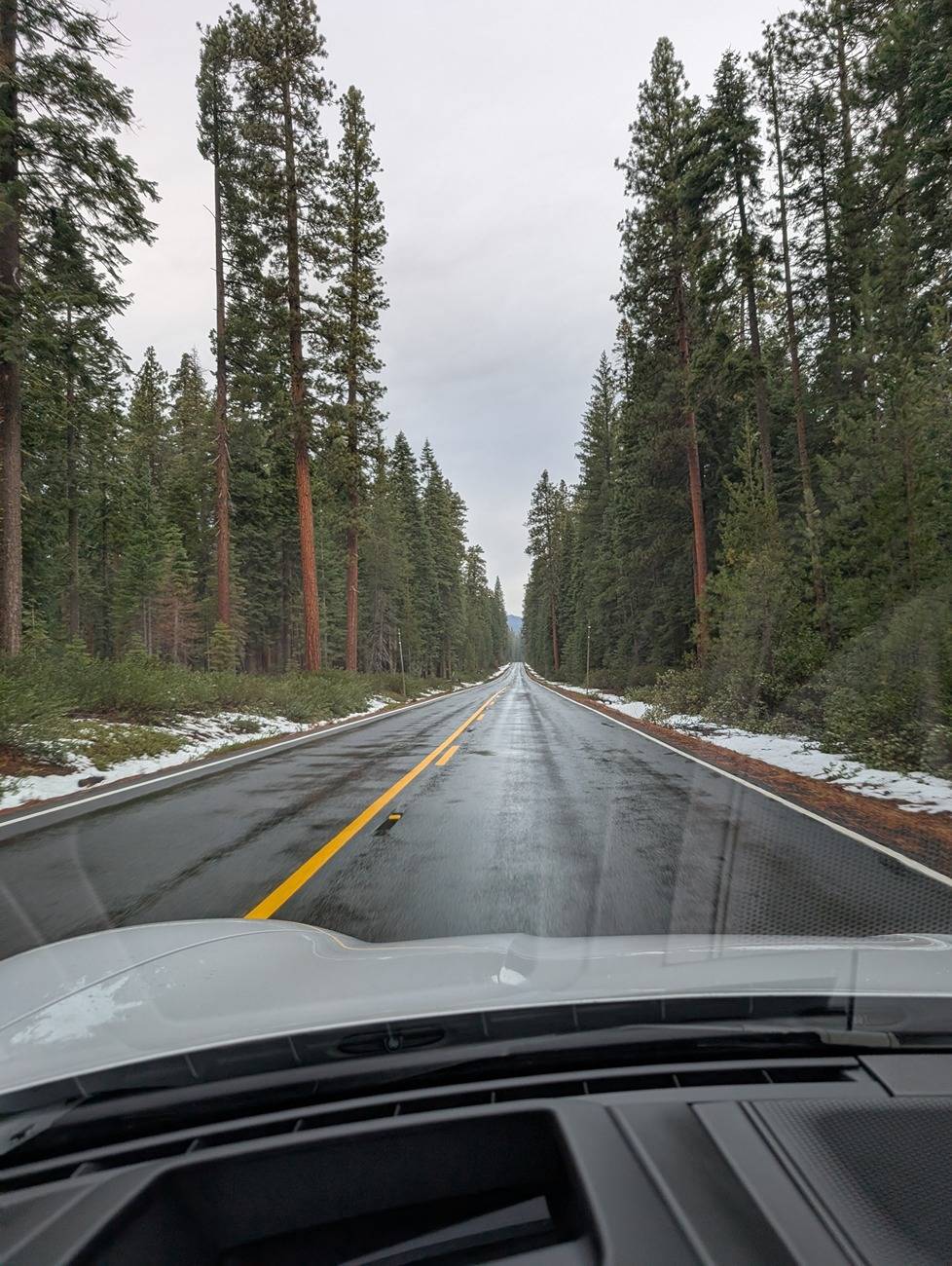 Porsche Taycan Kalispell MT --> San Francisco CA (Taycan Pickup/Delivery Report!) PXL_20241110_170735817