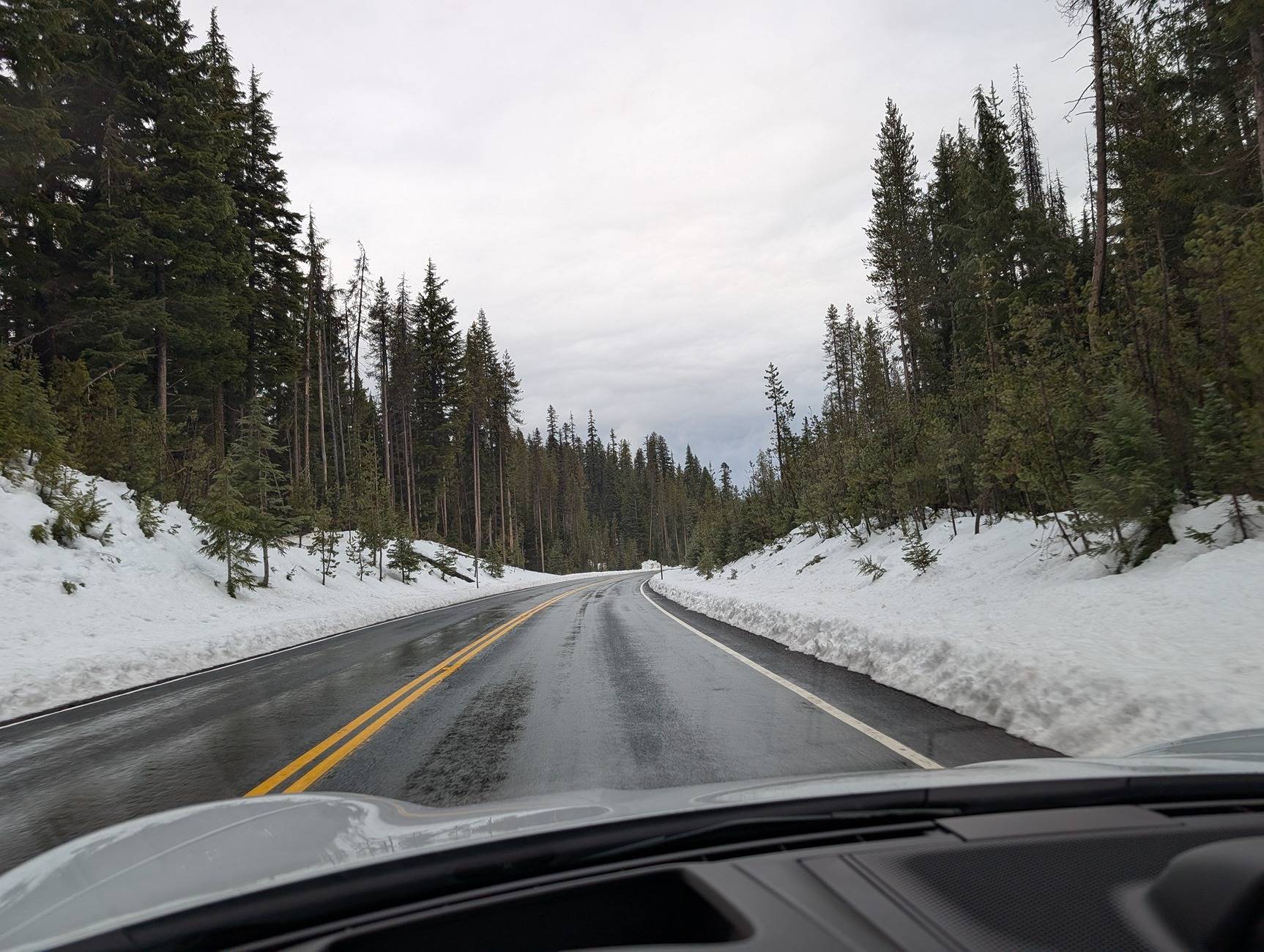 Porsche Taycan Kalispell MT --> San Francisco CA (Taycan Pickup/Delivery Report!) PXL_20241110_171518448