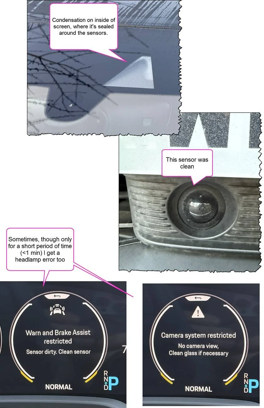 Porsche Taycan Anyone get sensor errors when it's cold? sensorError