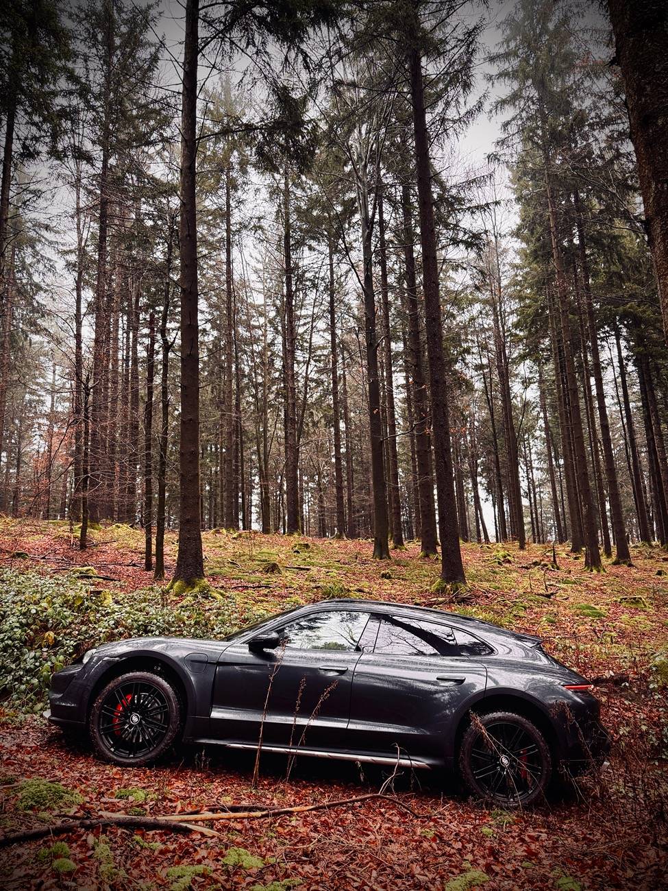 Porsche Taycan Have you taken your cross turismo off road? IMG_4595
