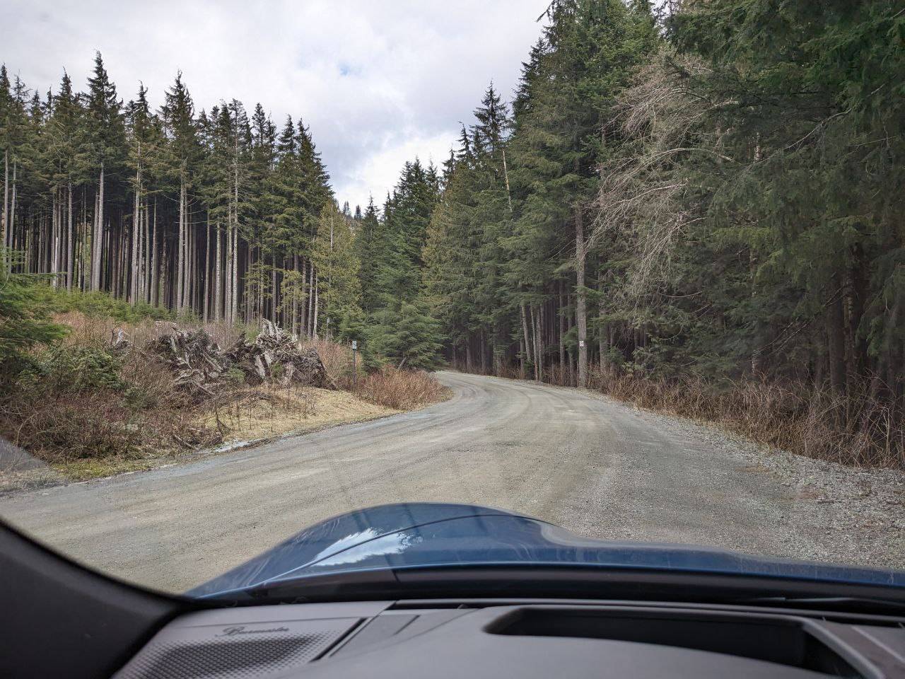 Porsche Taycan Have you taken your cross turismo off road? 1000013557