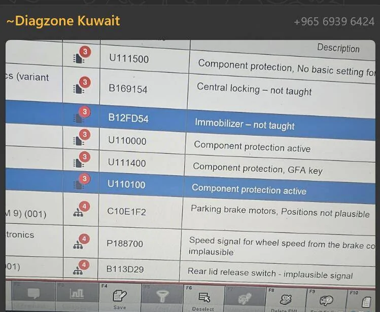 Porsche Taycan Piwi diagnostic program for Porche Taykan 1735850576041-9