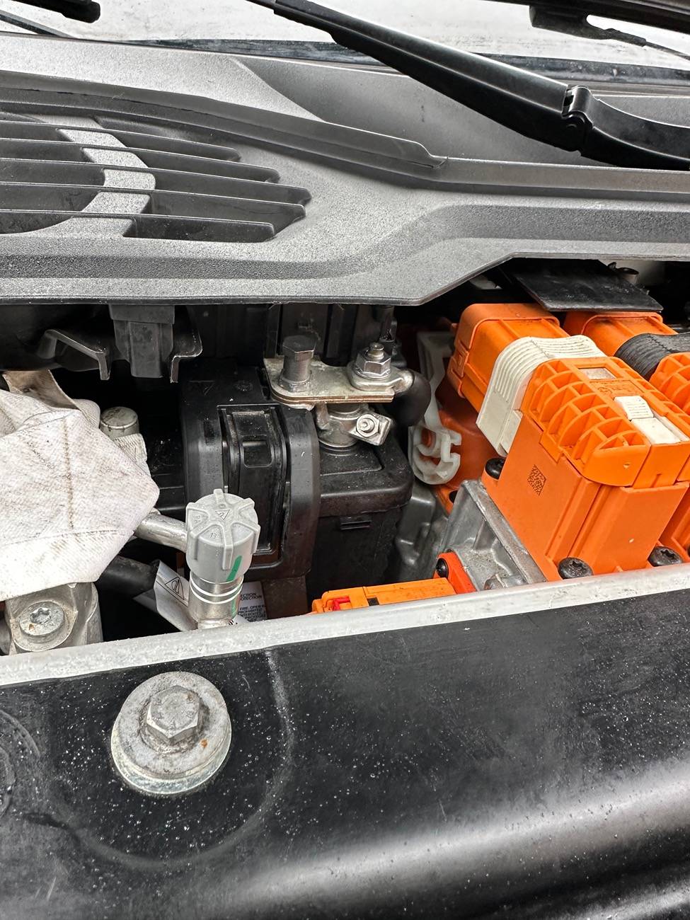 Porsche Taycan Piwi diagnostic program for Porche Taykan IMG_8537