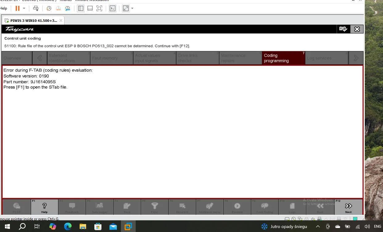Porsche Taycan Piwi diagnostic program for Porche Taykan Screenshot 2025-01-23 180103