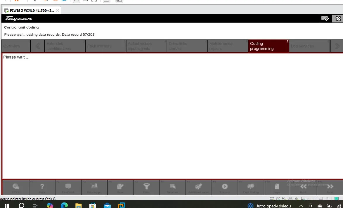 Porsche Taycan Piwi diagnostic program for Porche Taykan Screenshot 2025-01-23 180339