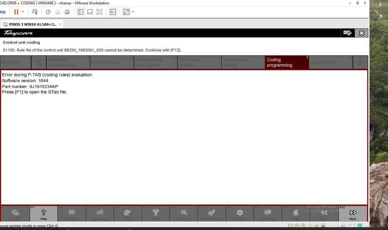 Porsche Taycan Piwi diagnostic program for Porche Taykan Screenshot 2025-01-23 175958