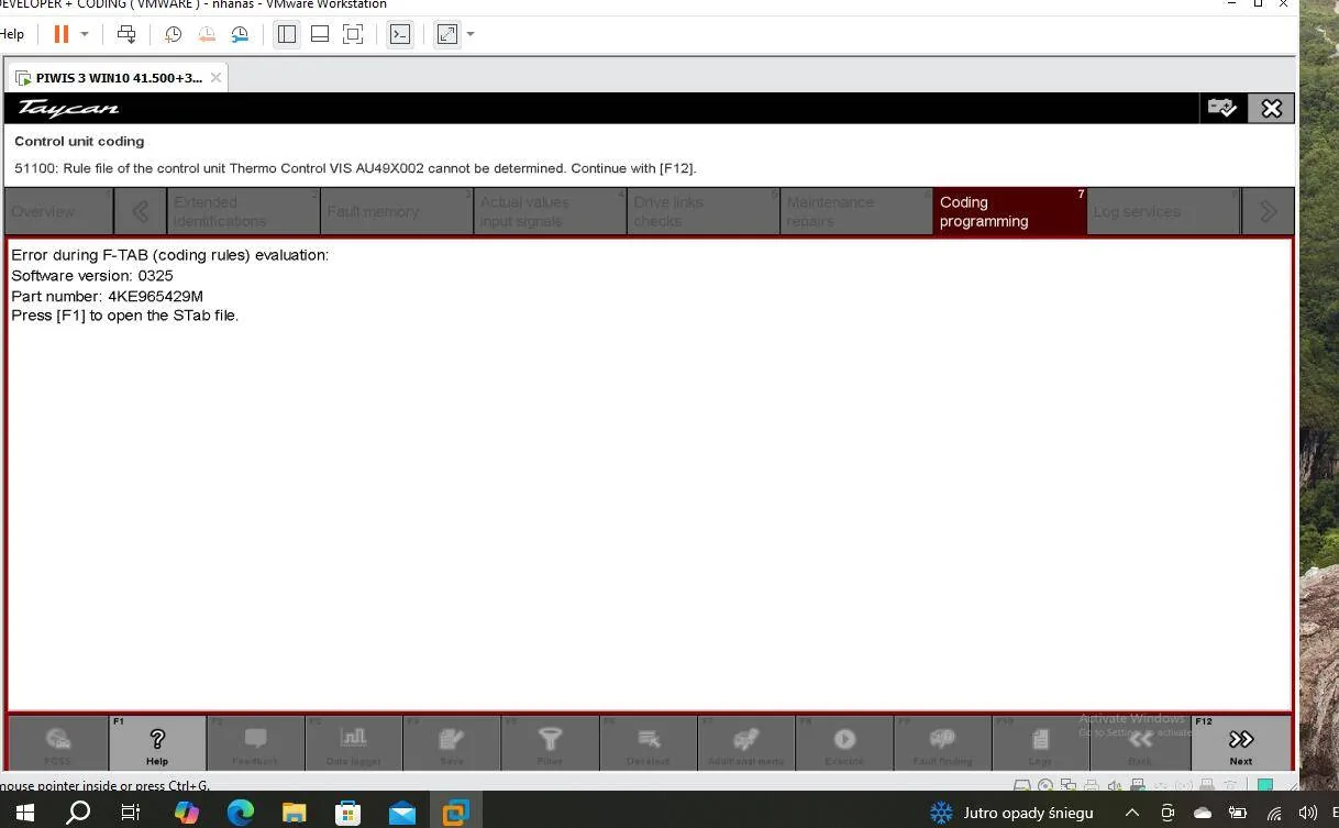 Porsche Taycan Piwi diagnostic program for Porche Taykan Screenshot 2025-01-23 180225